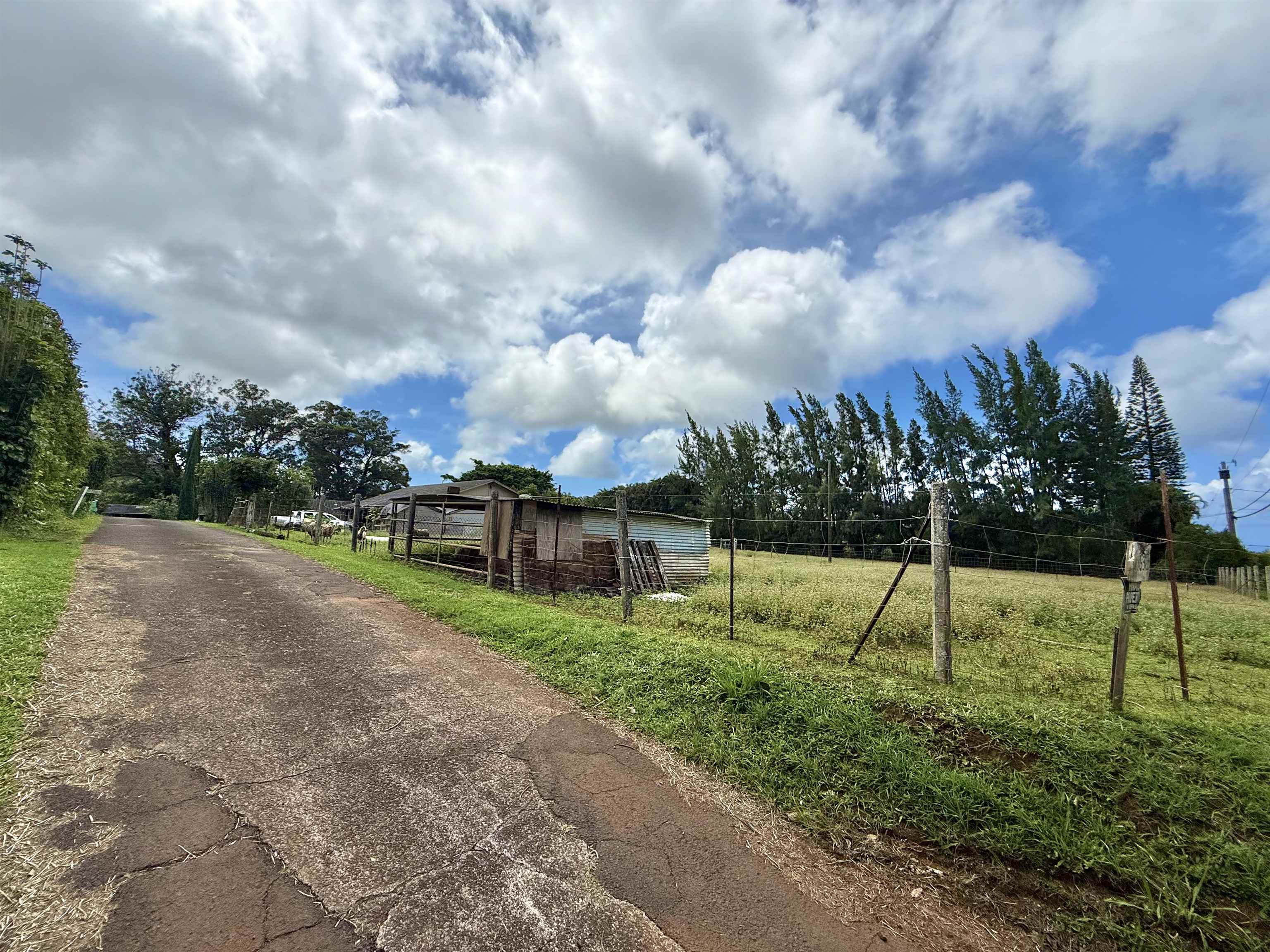 1630  Kauhikoa Rd , Haiku home - photo 5 of 48
