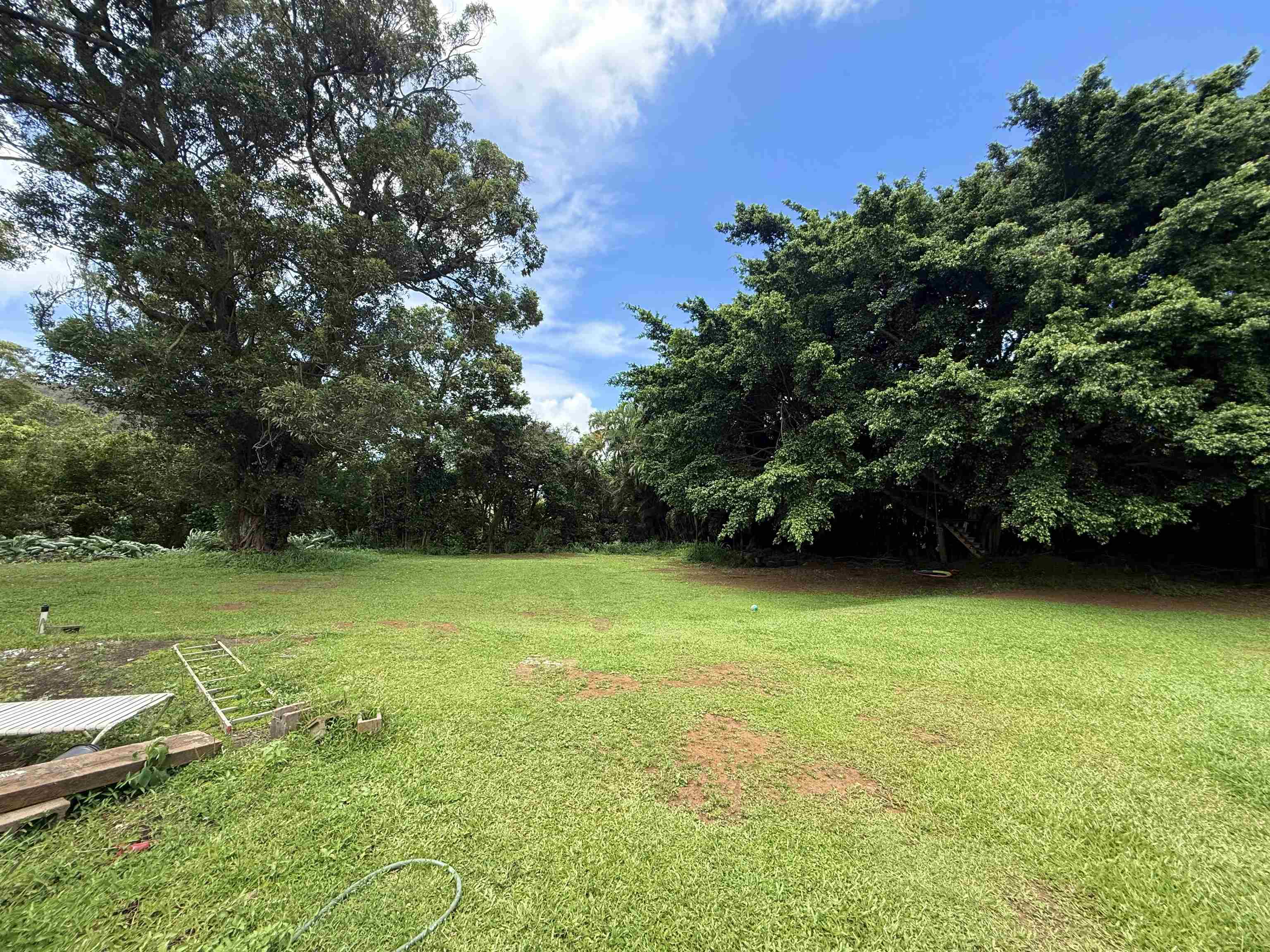 1630  Kauhikoa Rd , Haiku home - photo 43 of 48
