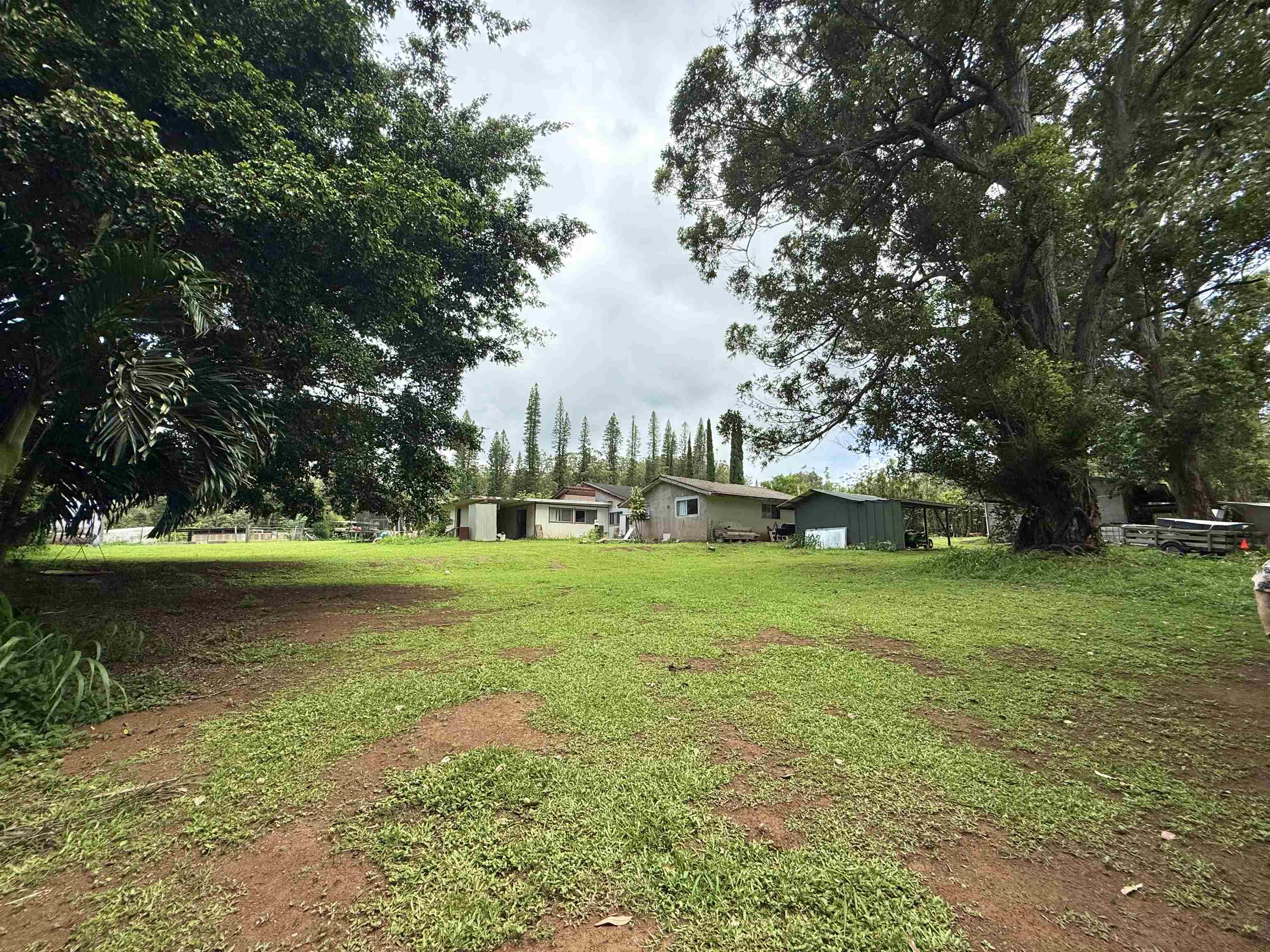 1630  Kauhikoa Rd , Haiku home - photo 44 of 48