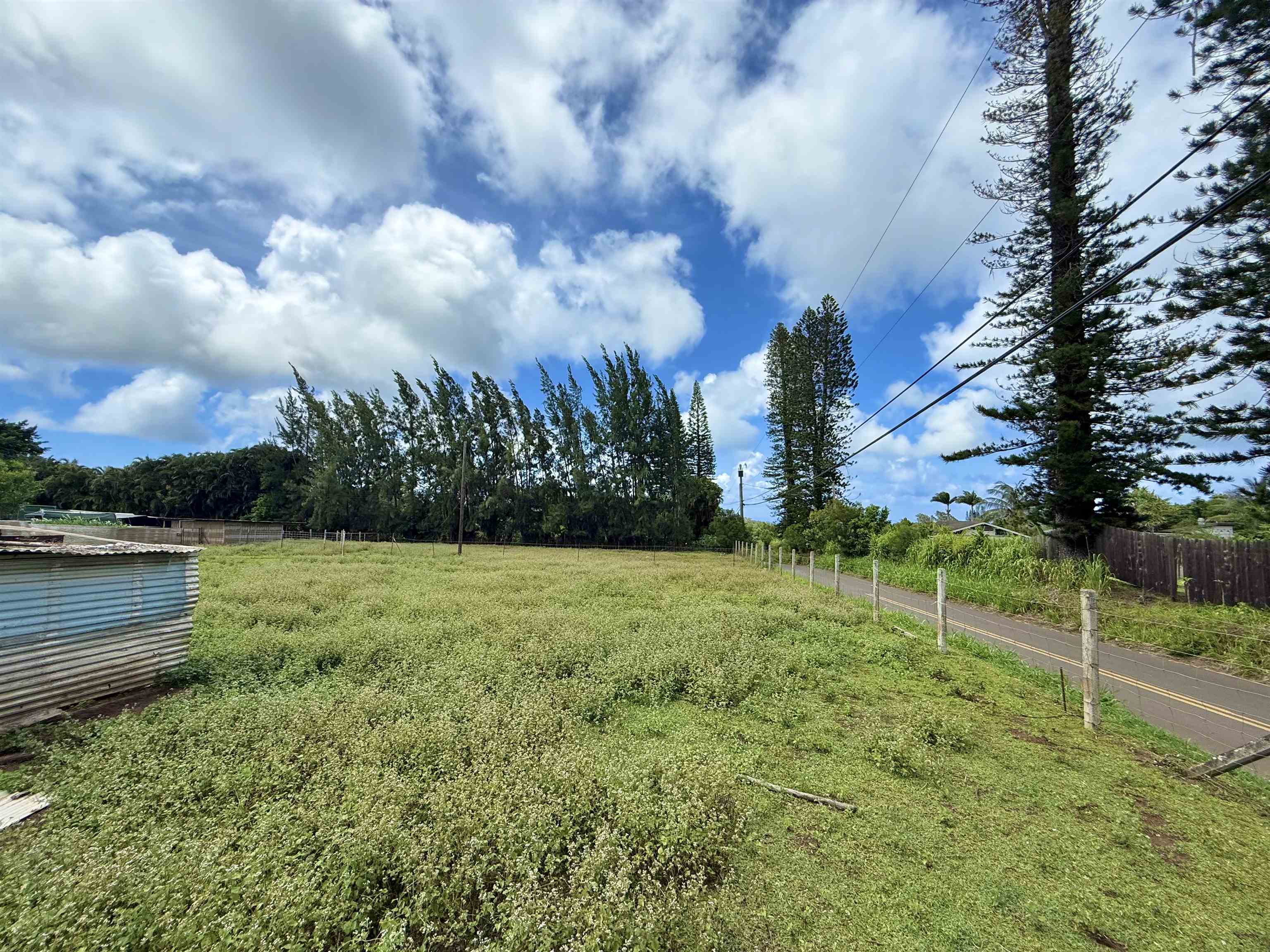 1630  Kauhikoa Rd , Haiku home - photo 6 of 48