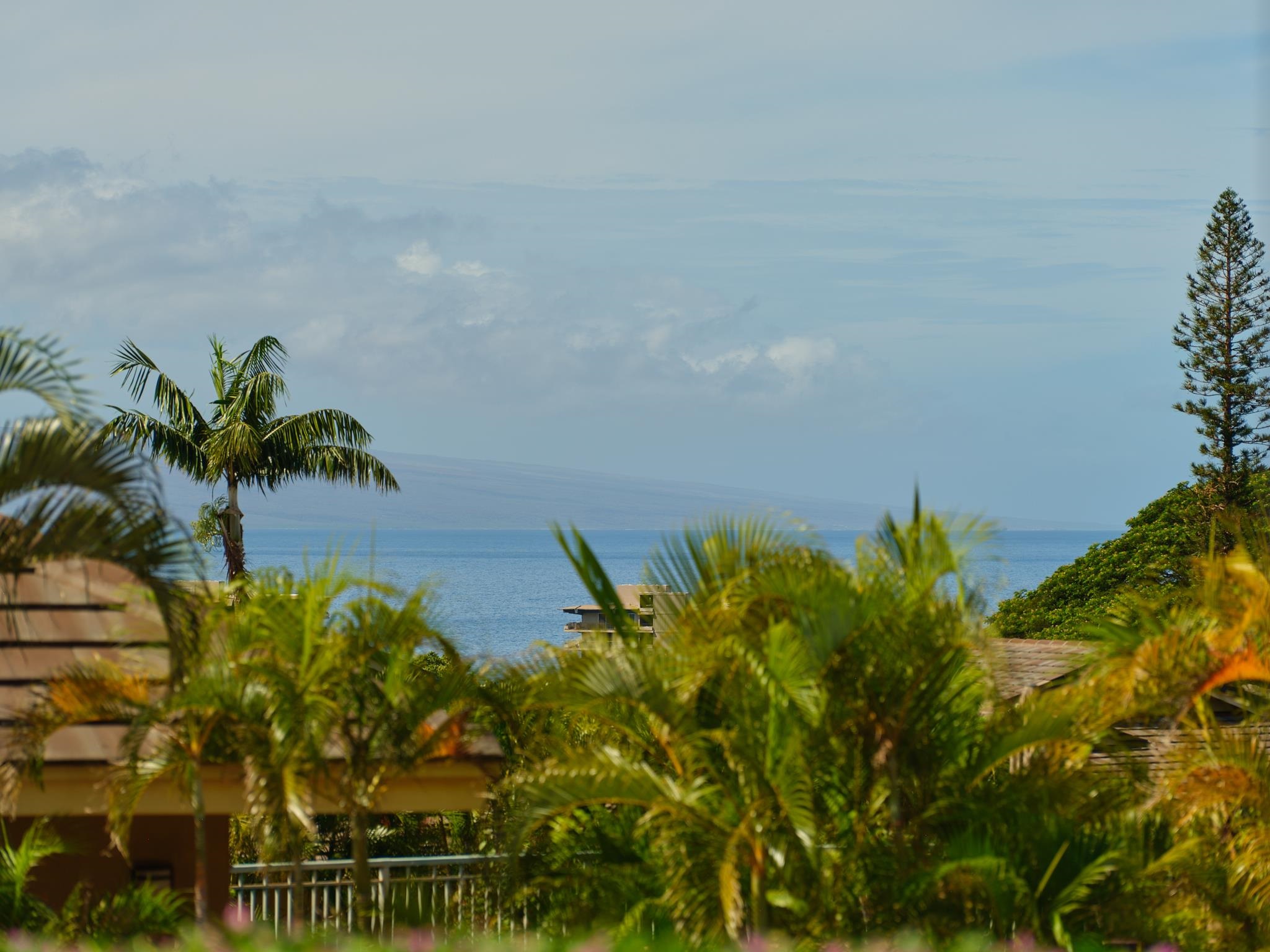 Vintage at Kaanapali condo # 64, Lahaina, Hawaii - photo 14 of 30