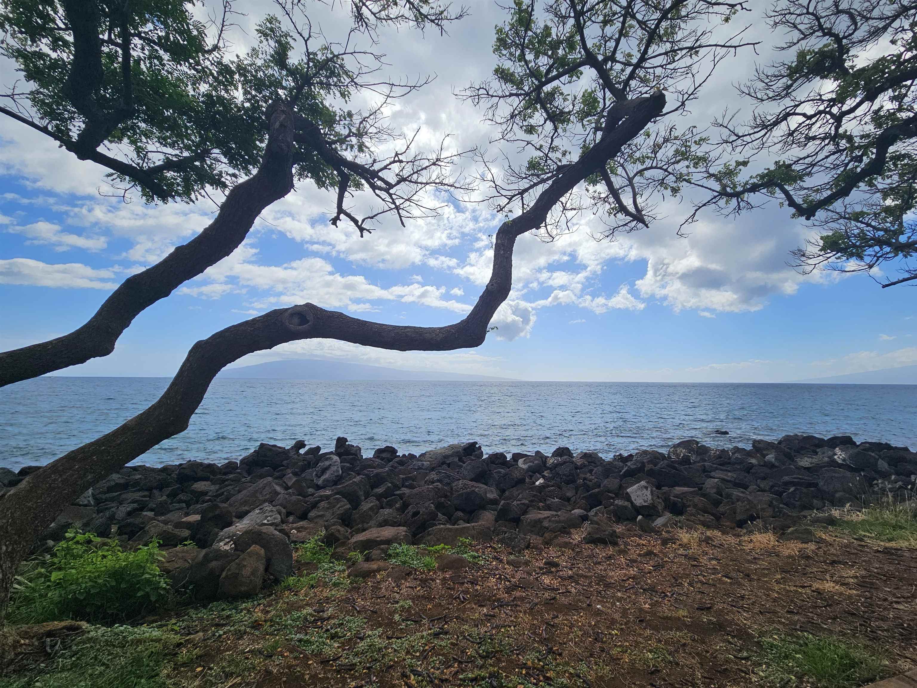 1640 Ku'uipo St  Lahaina, Hi vacant land for sale - photo 11 of 17