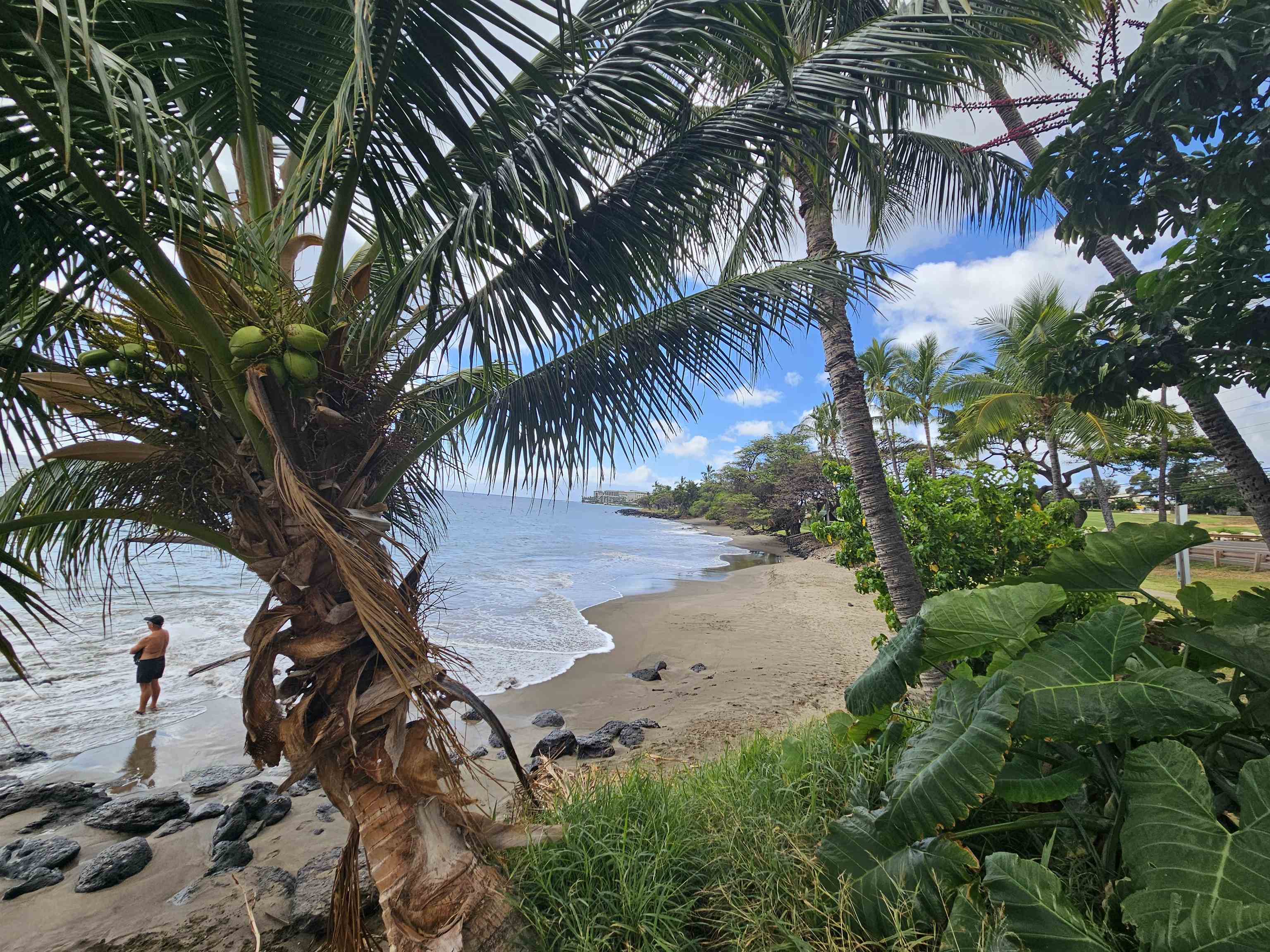 1640 Ku'uipo St  Lahaina, Hi vacant land for sale - photo 13 of 17