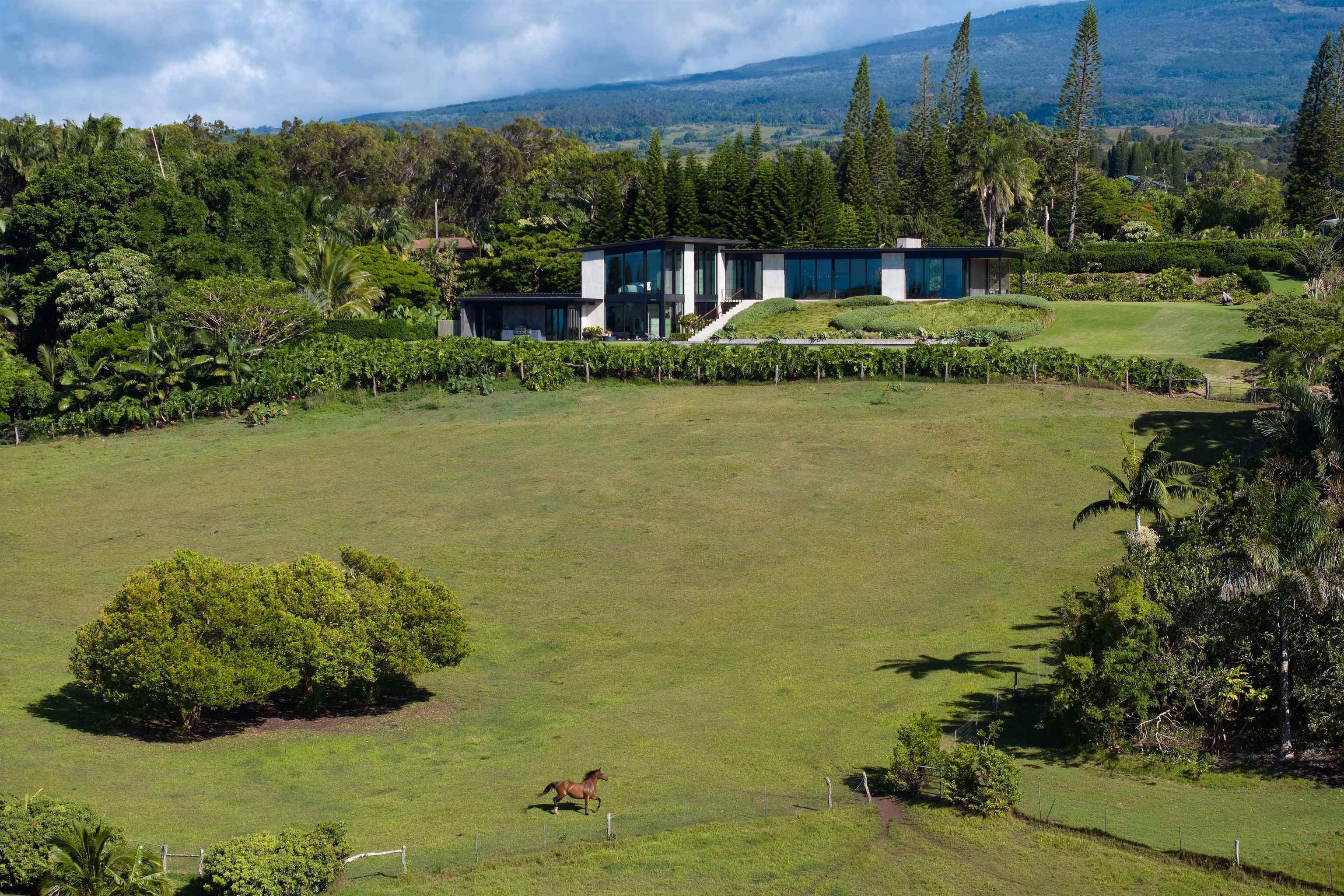 1642  Kuiaha Rd West Kuiaha, Haiku home - photo 39 of 50