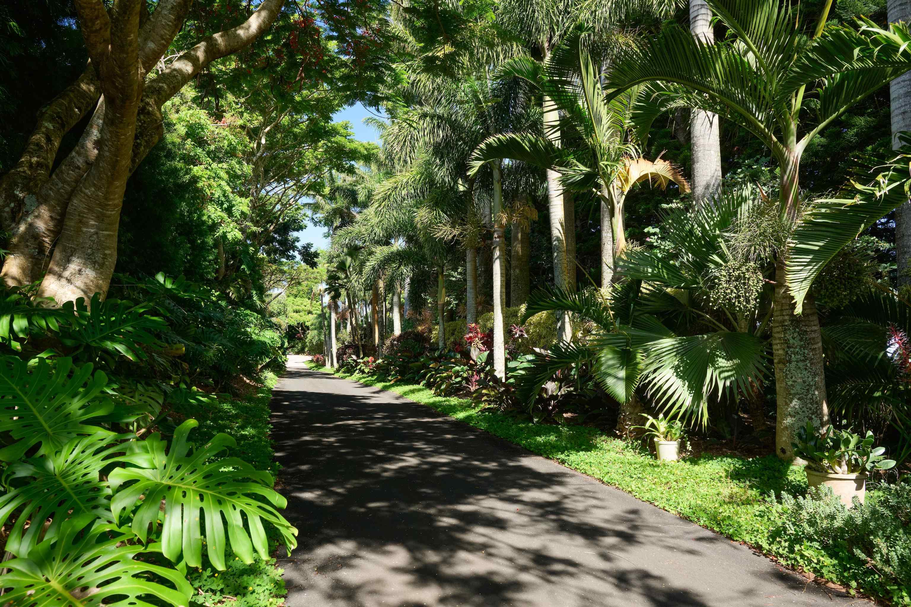 1642  Kuiaha Rd West Kuiaha, Haiku home - photo 5 of 50