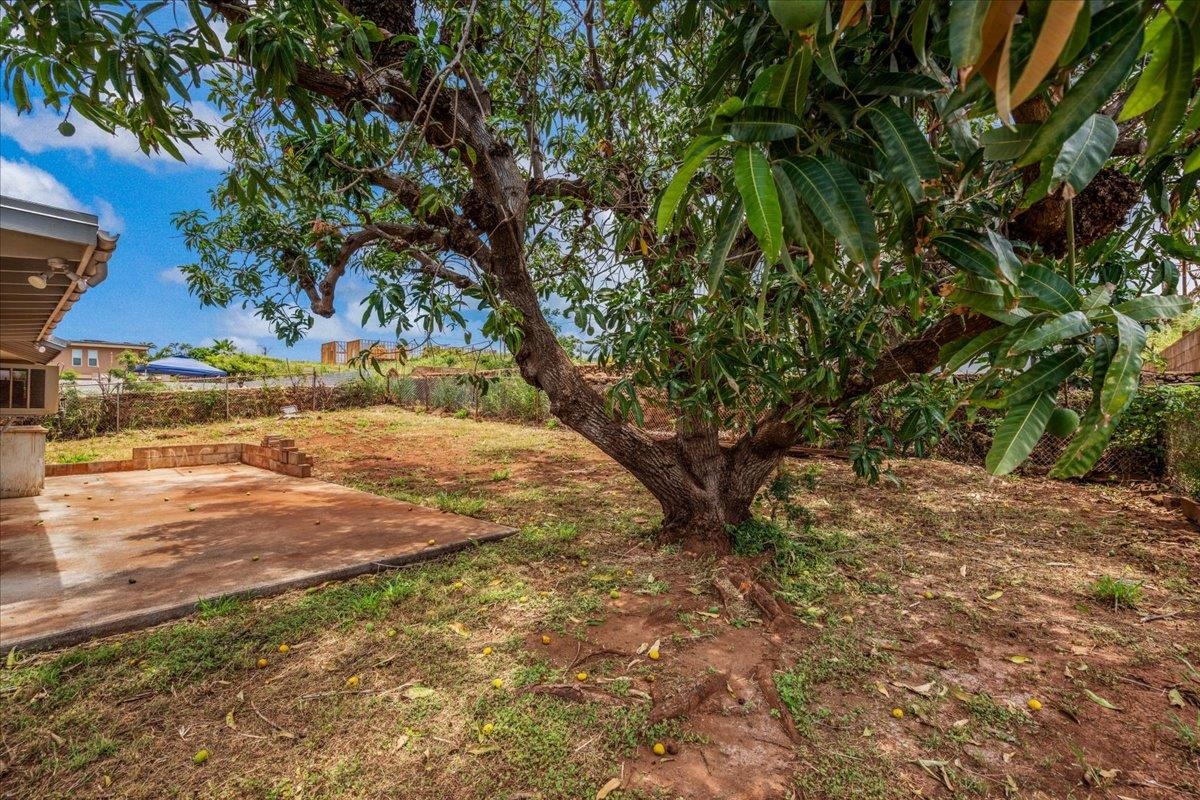 1648  Ainakea Rd Wahikuli, Lahaina home - photo 45 of 49