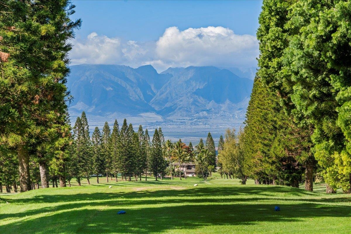 165  Hololani St Pukalani, Pukalani home - photo 12 of 46