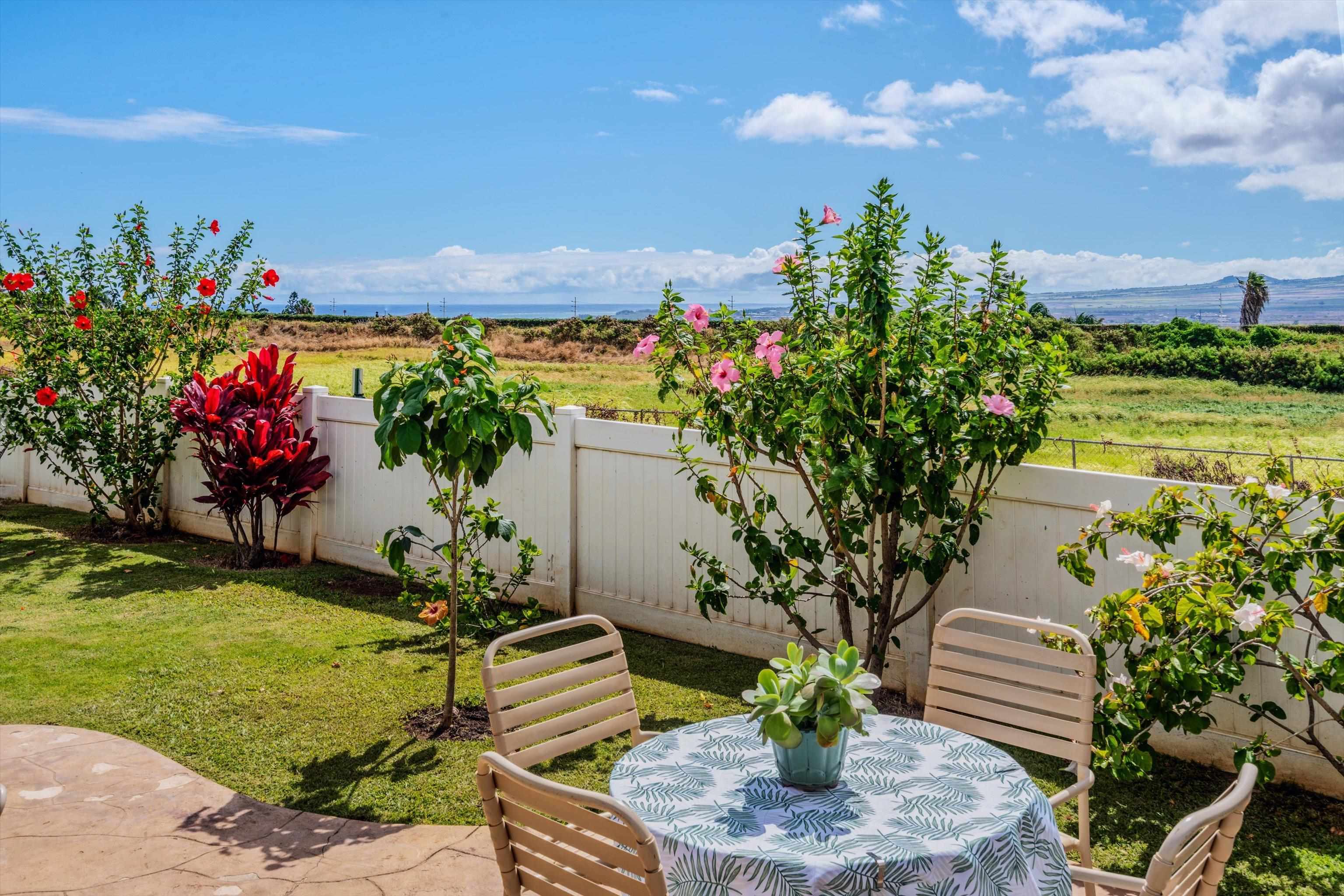 165  Kamahao Cir , Wailuku home - photo 2 of 38