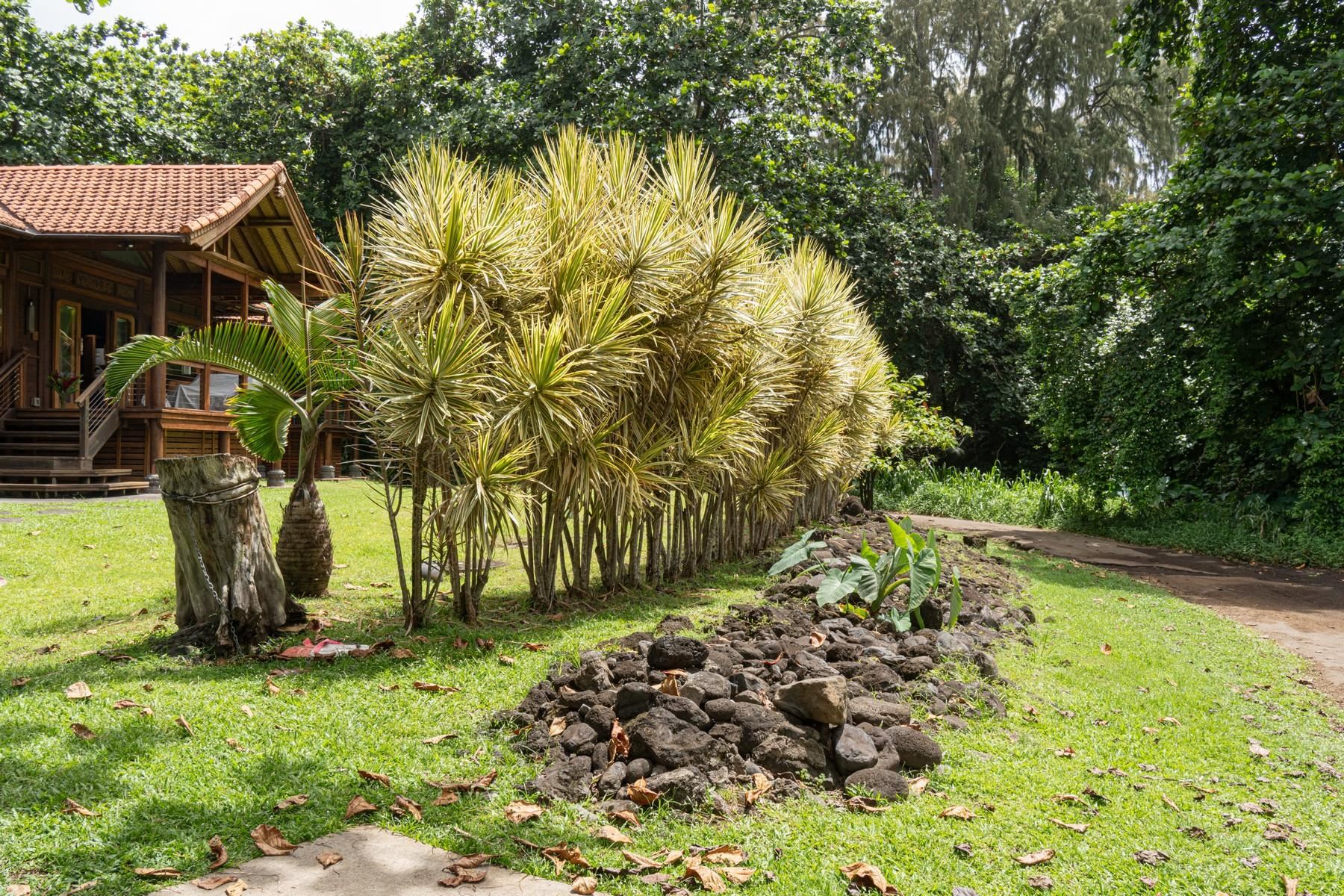 165  Waikoloa Rd Hana Bay, Hana home - photo 24 of 30