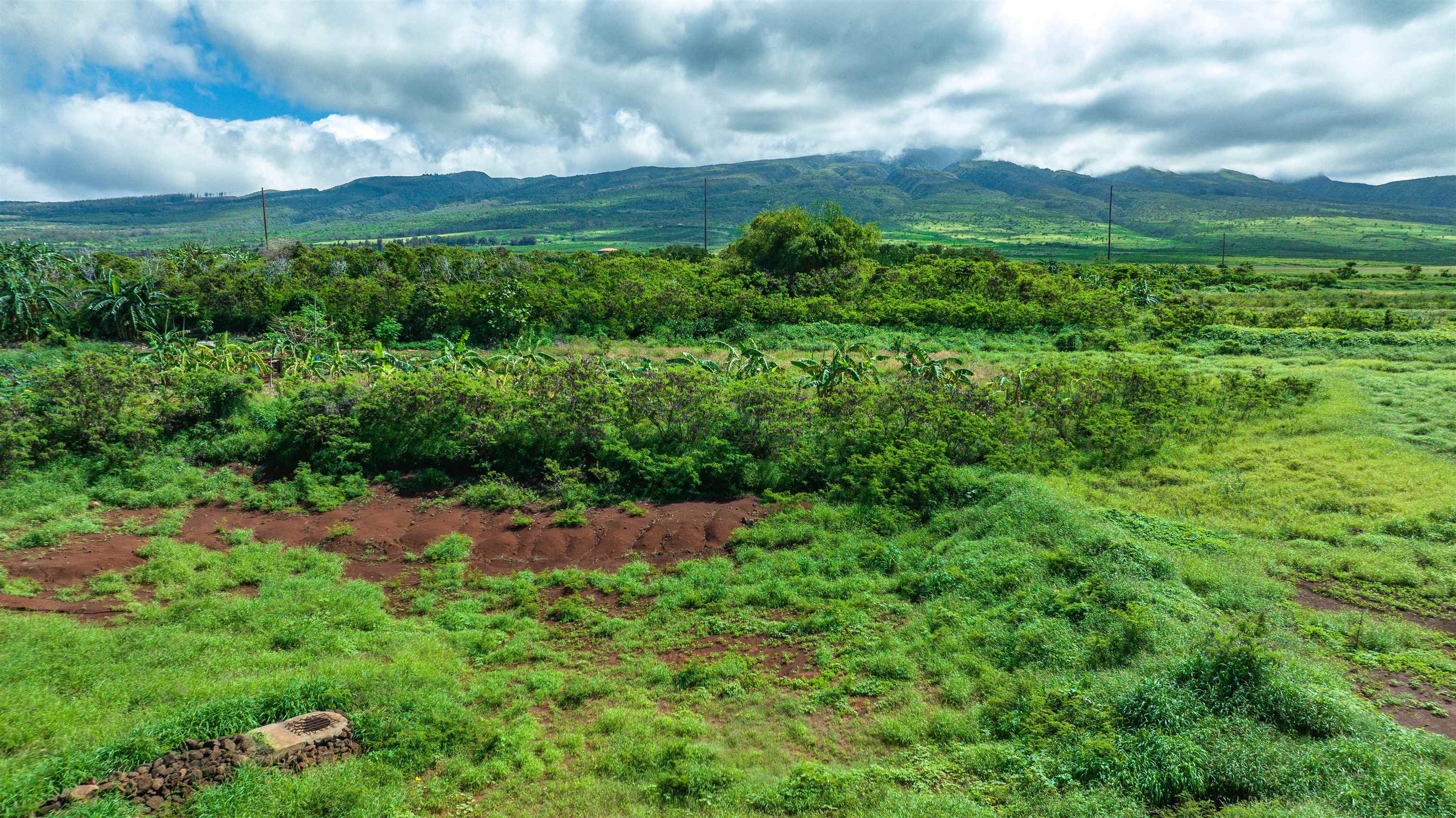 165 Welau Way A-9 Lahaina, Hi vacant land for sale - photo 19 of 26