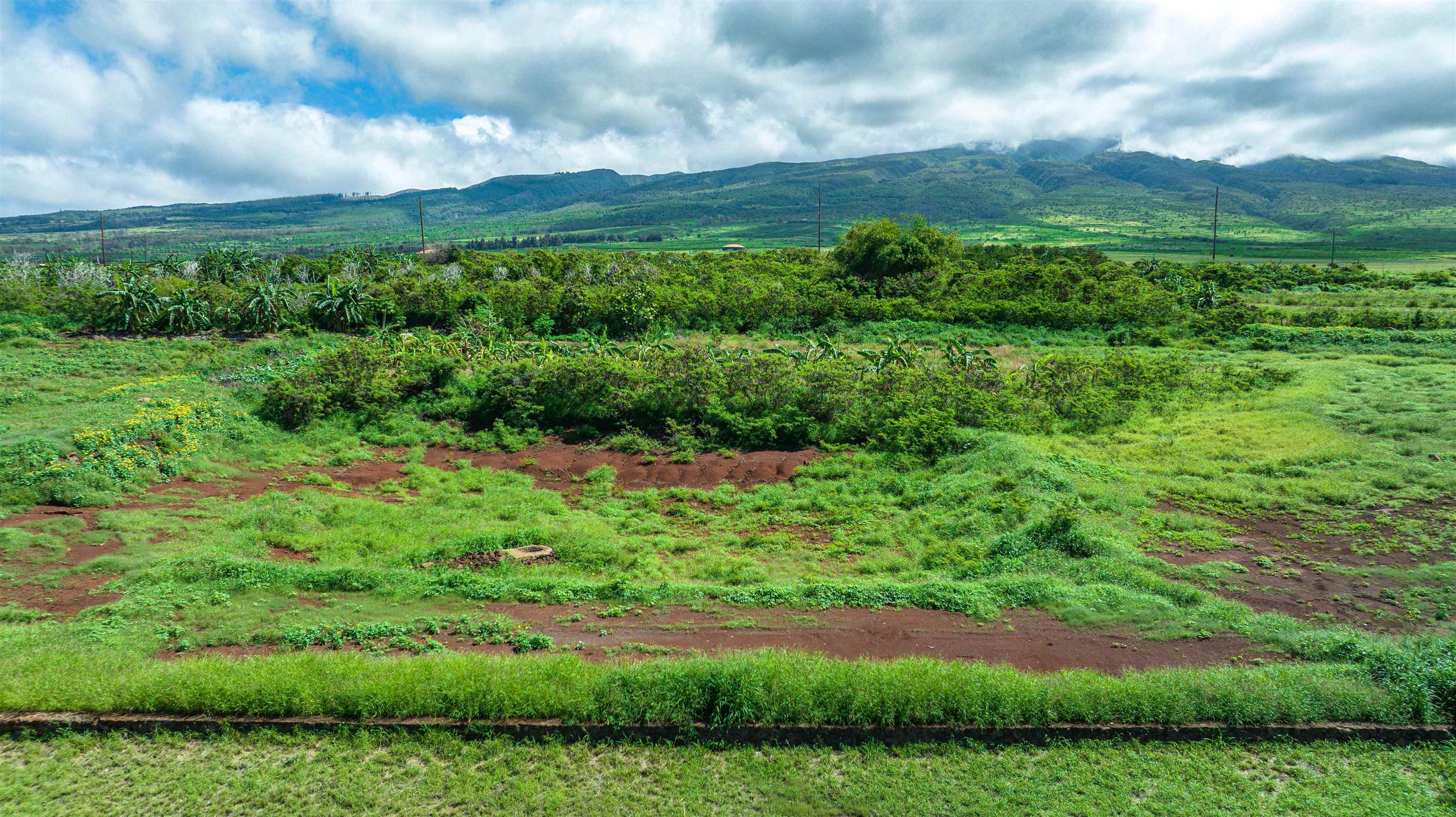 165 Welau Way A-9 Lahaina, Hi vacant land for sale - photo 21 of 26