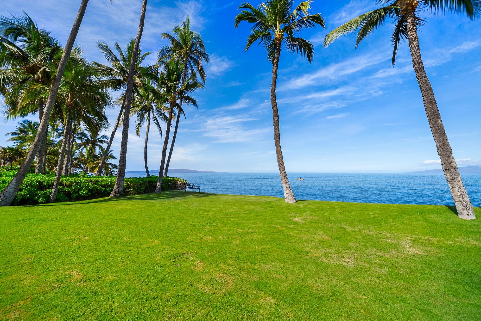 1656  Halama St , Kihei home - photo 6 of 42