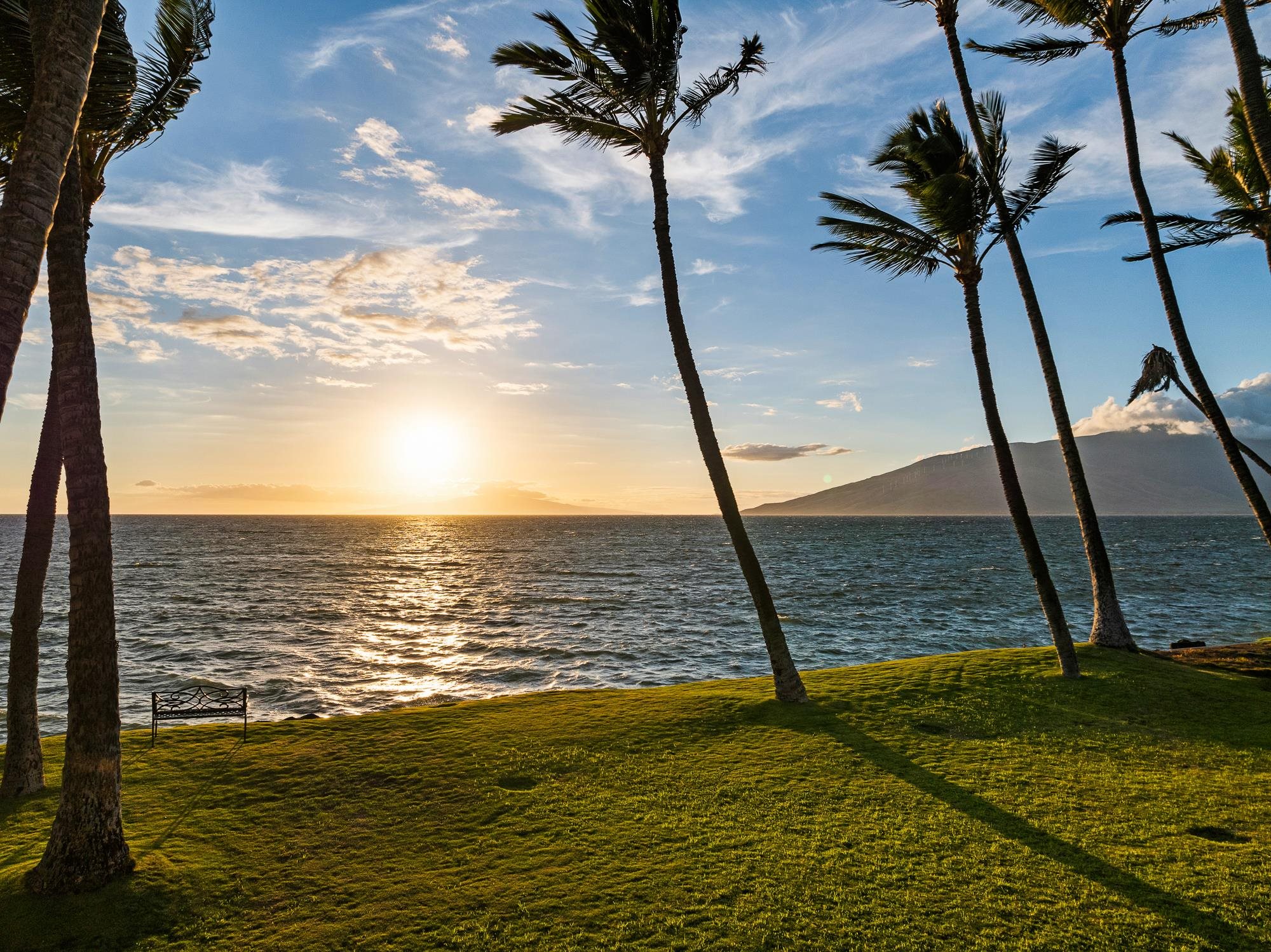 1656  Halama St , Kihei home - photo 40 of 42