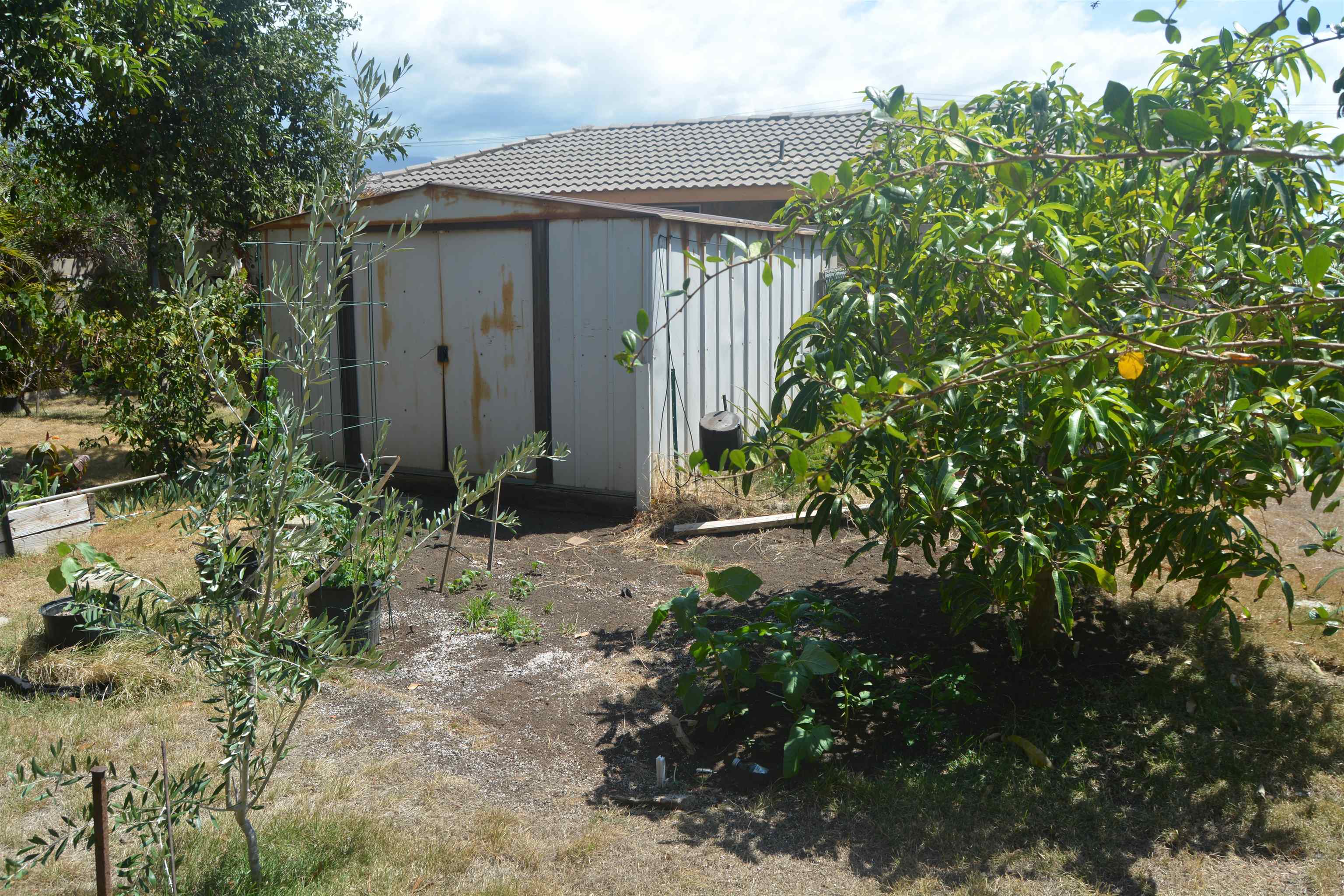 166  Eleu Pl , Kihei home - photo 11 of 19