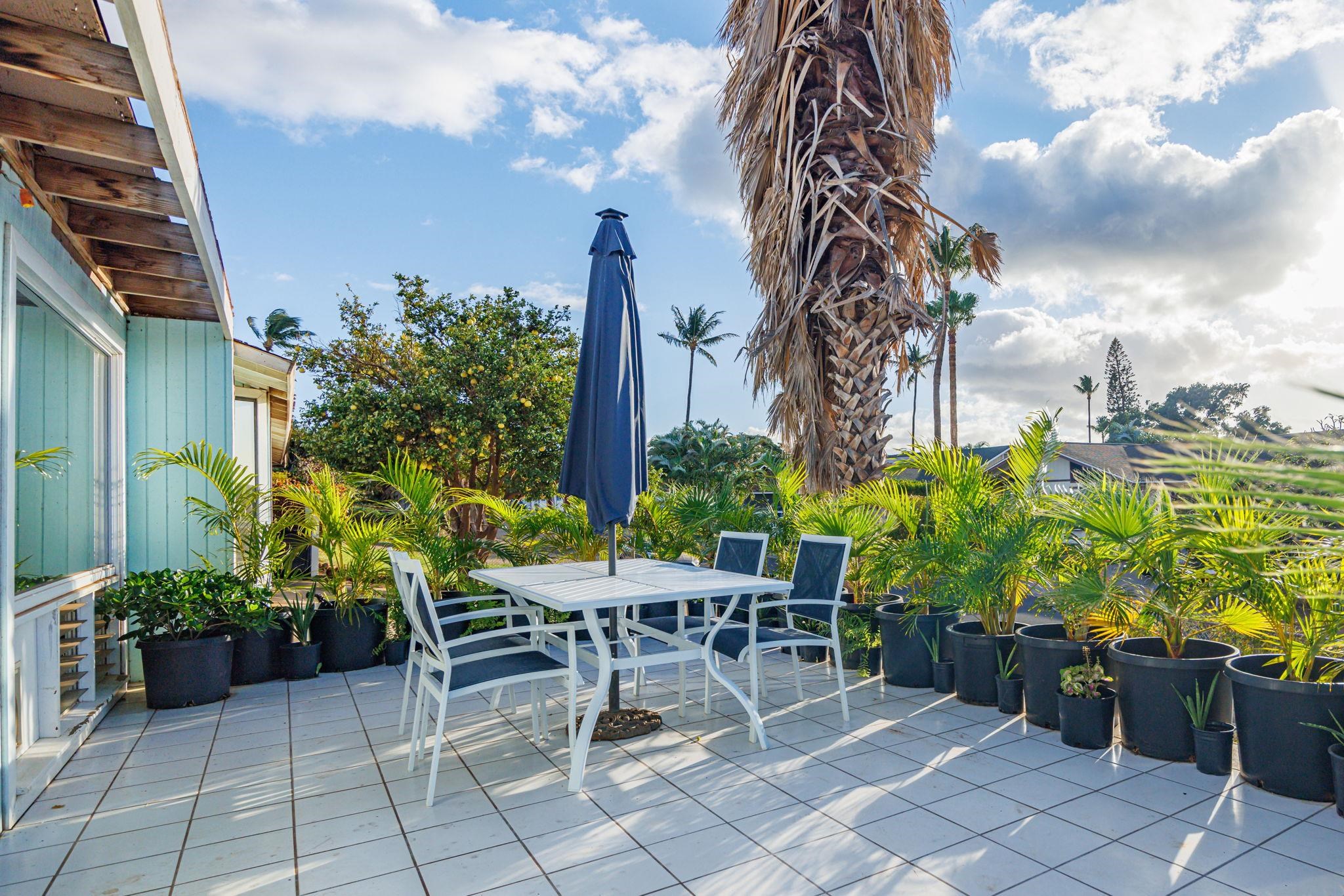 1669  Hoonanea St , Kihei home - photo 11 of 50