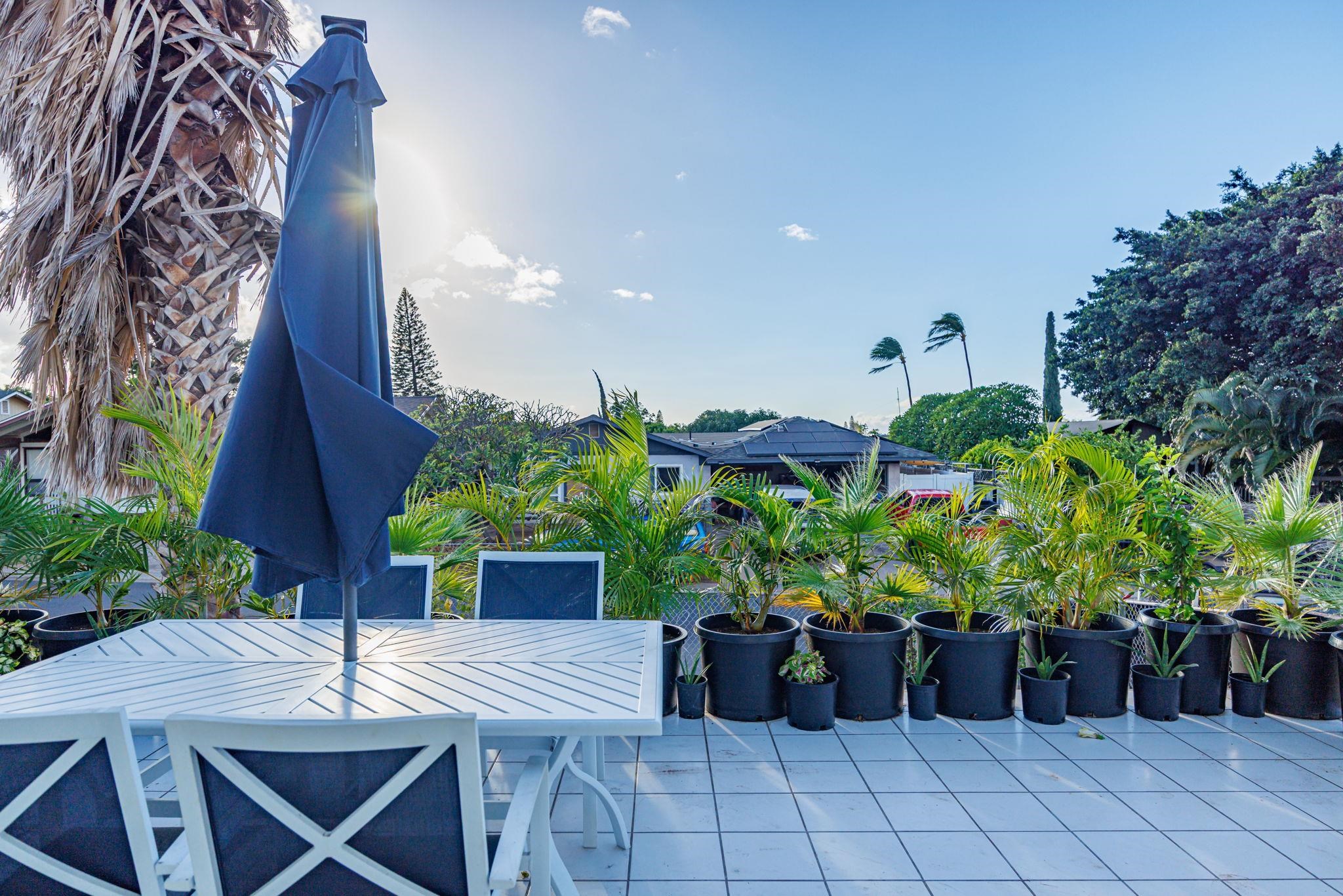 1669  Hoonanea St , Kihei home - photo 14 of 50