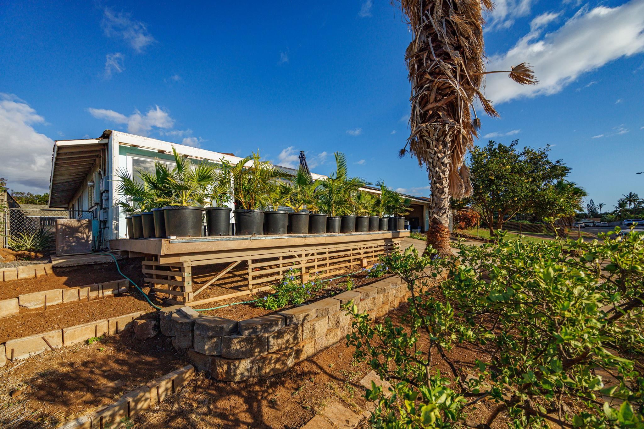 1669  Hoonanea St , Kihei home - photo 10 of 50