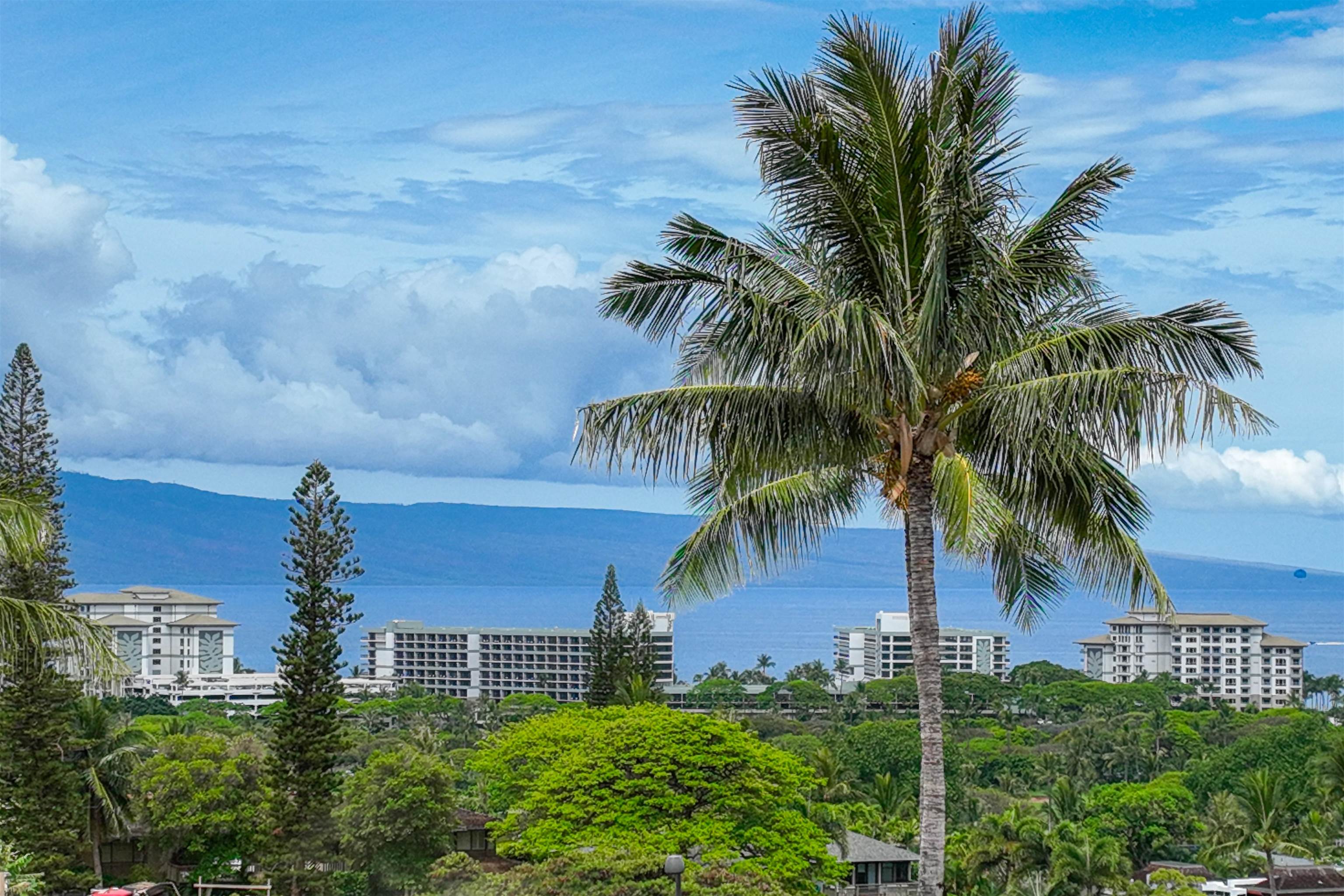 167 Anapuni Loop 26 Lahaina, Hi vacant land for sale - photo 3 of 35