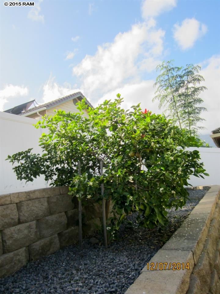 167  Molehulehu Loop Maui Lani, Kahului home - photo 26 of 30