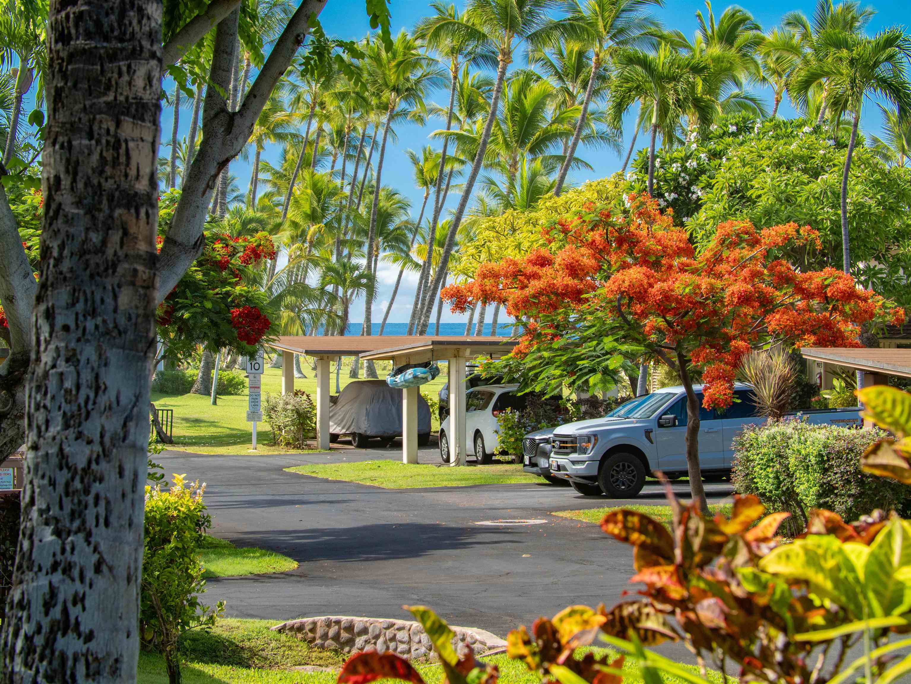 Puamana condo # 167-4, Lahaina, Hawaii - photo 22 of 50