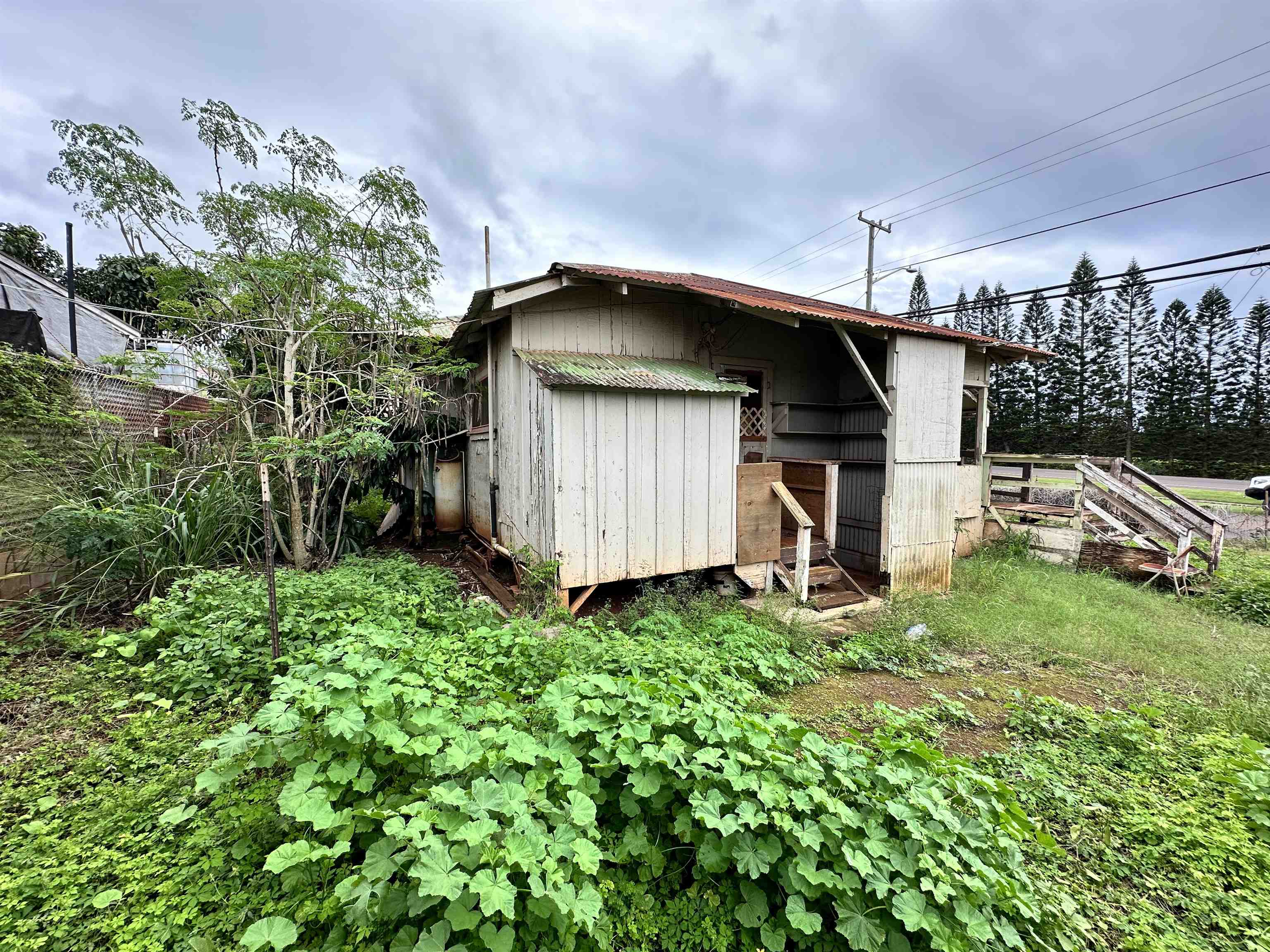 1672  Farrington Ave Kualapauu, Molokai home - photo 2 of 8