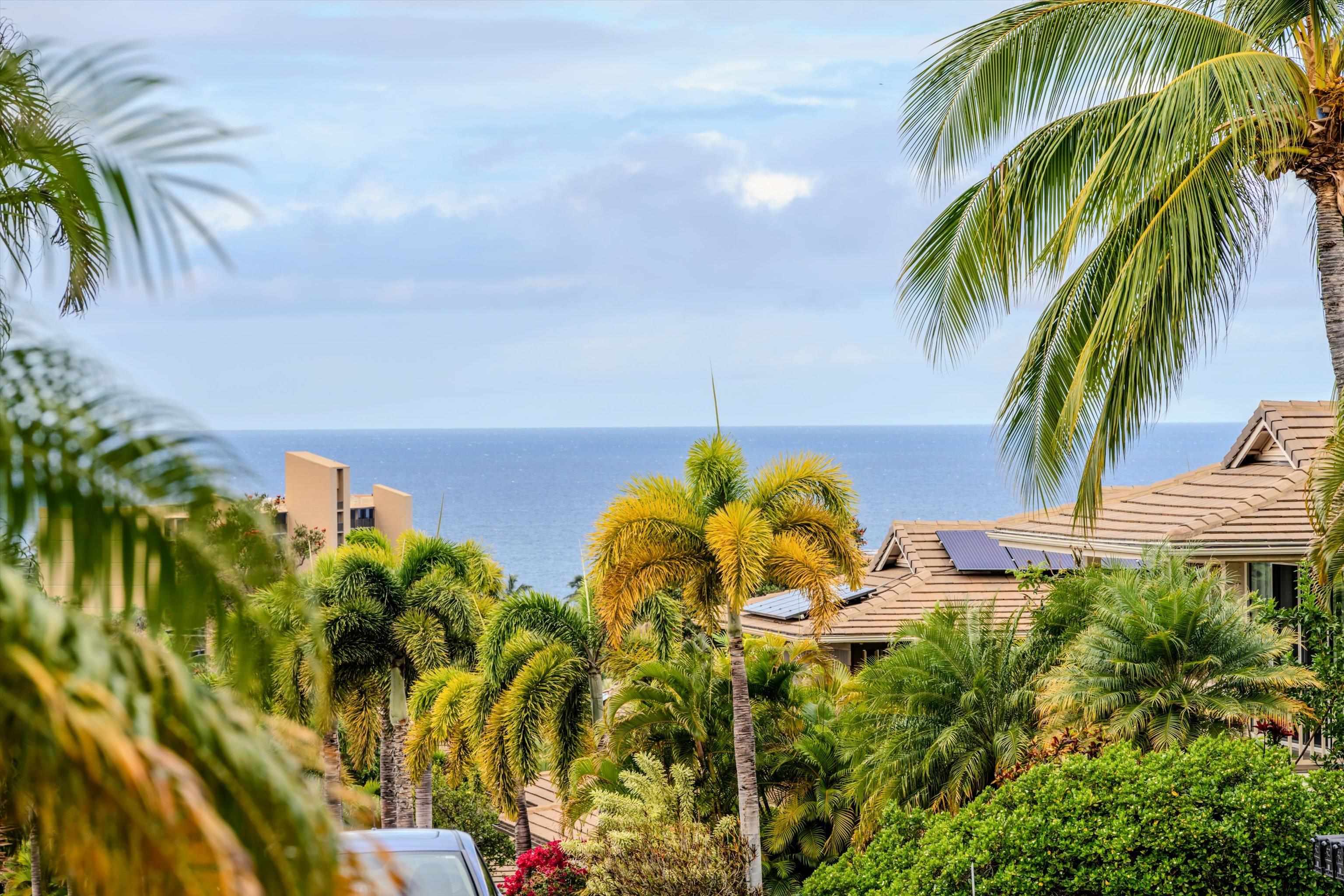 168  Ahekolo Pl Kilohana Ridge, Kihei home - photo 4 of 48