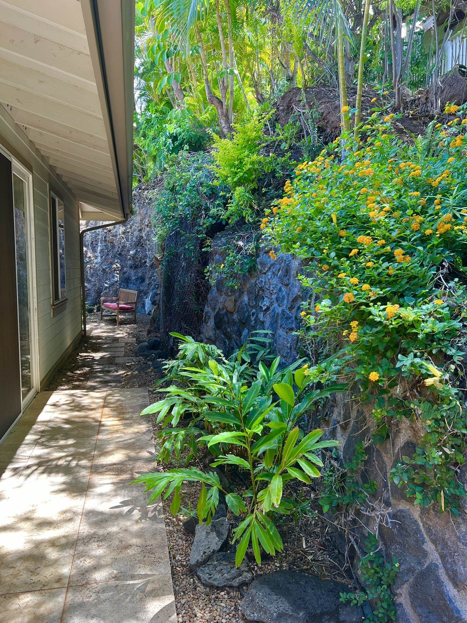 168  Ahekolo Pl Kilohana Ridge, Kihei home - photo 38 of 48