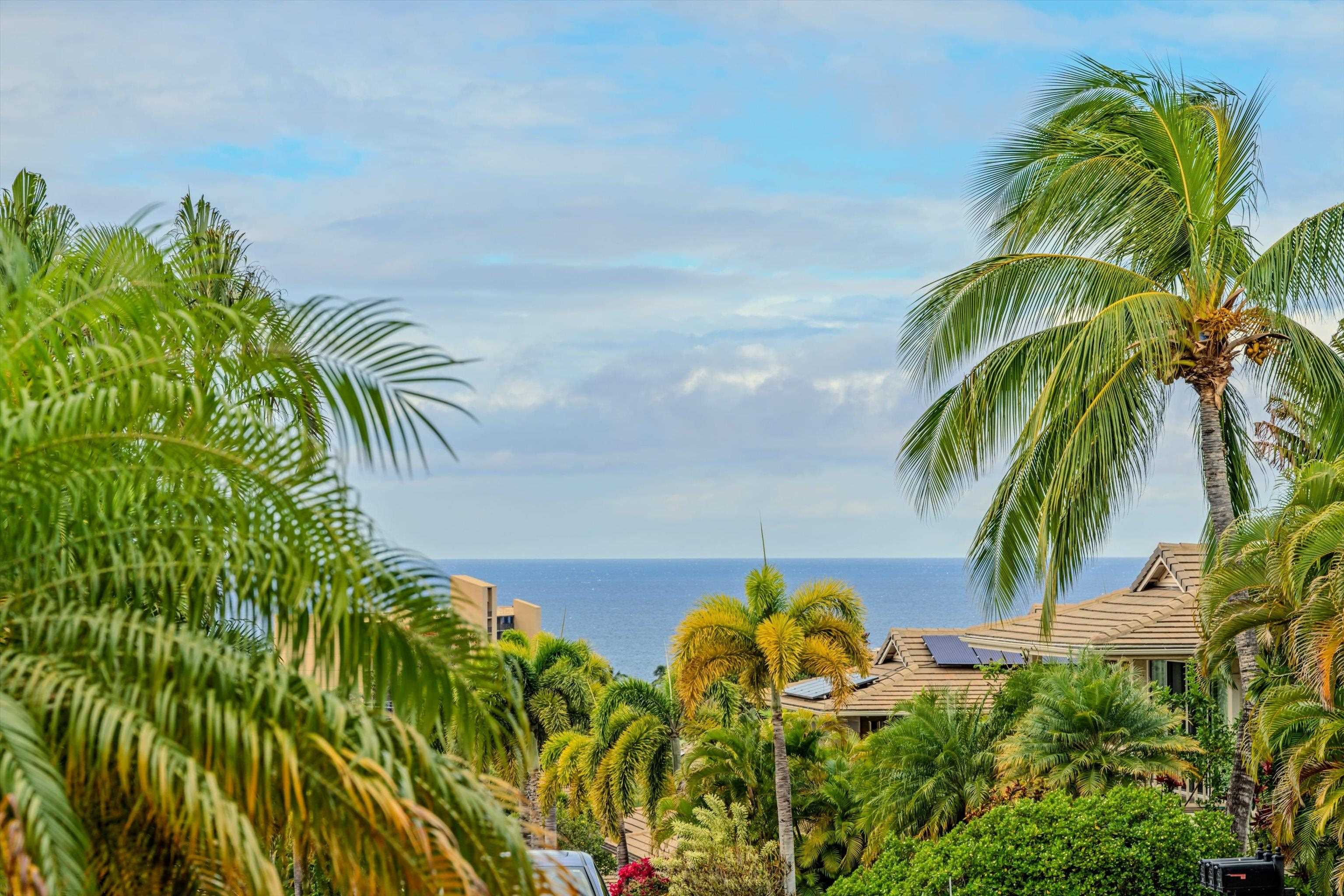 168  Ahekolo Pl Kilohana Ridge, Kihei home - photo 44 of 48
