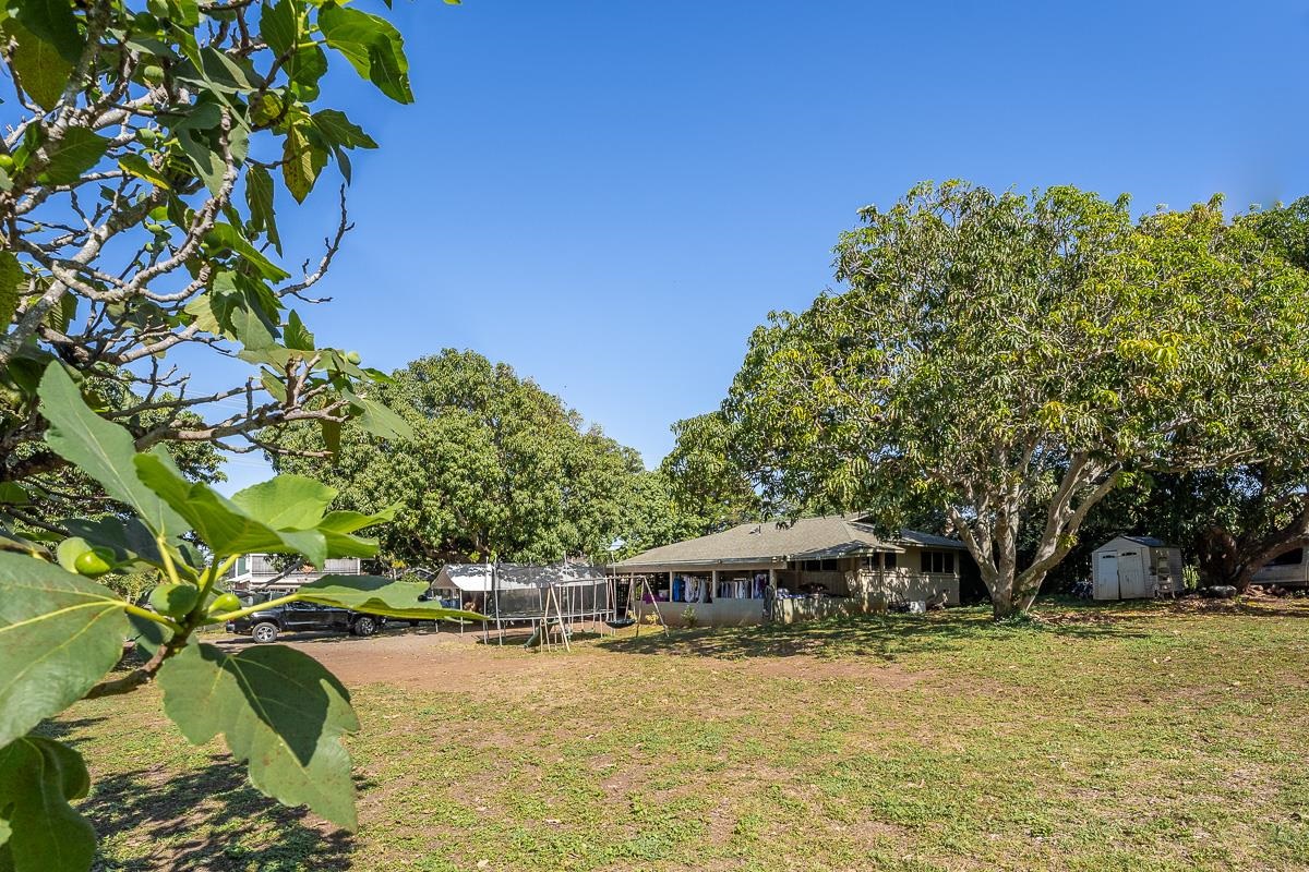 168  Hana Hwy , Spreckelsville/Paia/Kuau home - photo 32 of 37