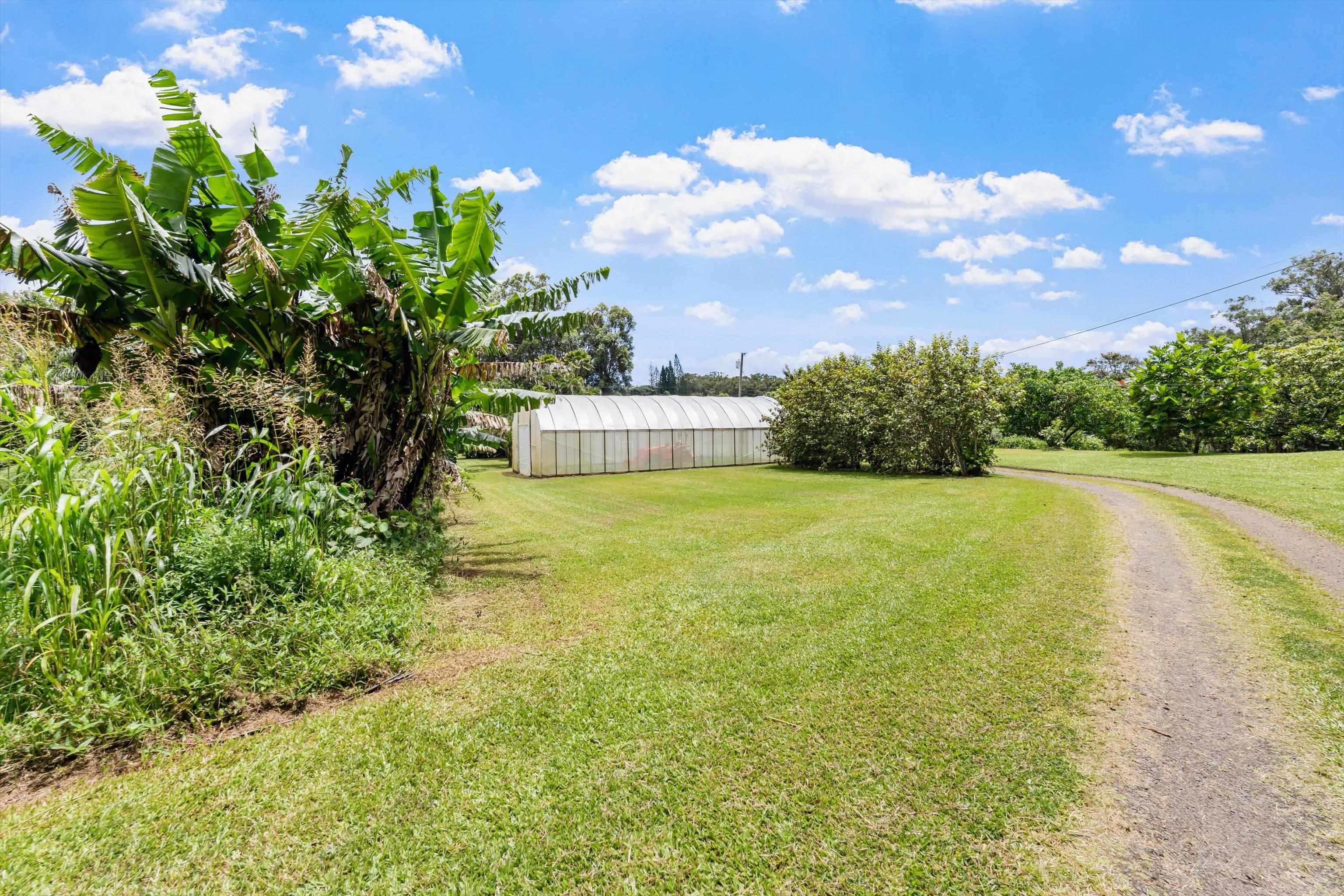 169  Waipalani Rd Maui Ranch Estates, Haiku home - photo 44 of 50