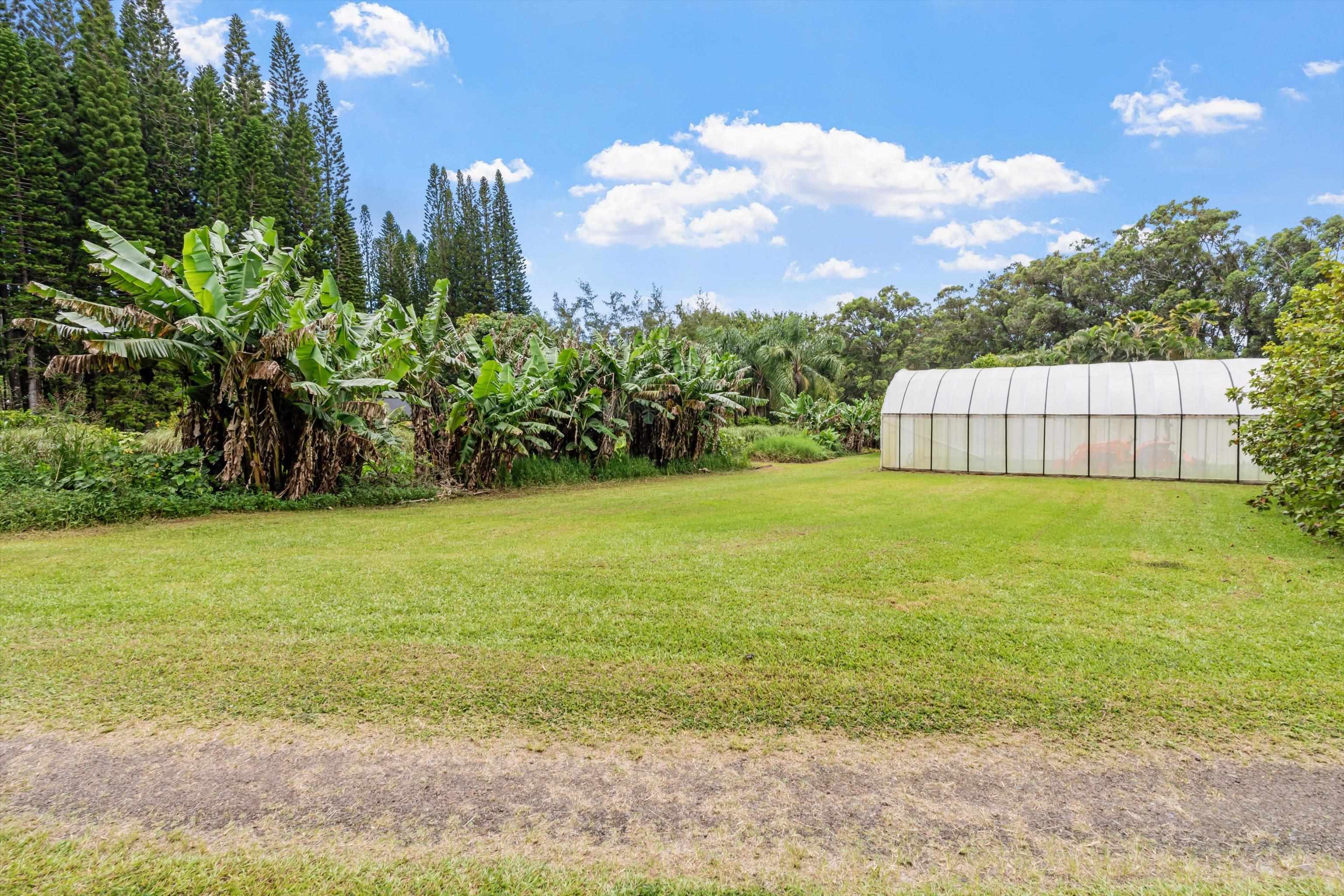 169  Waipalani Rd Maui Ranch Estates, Haiku home - photo 45 of 50