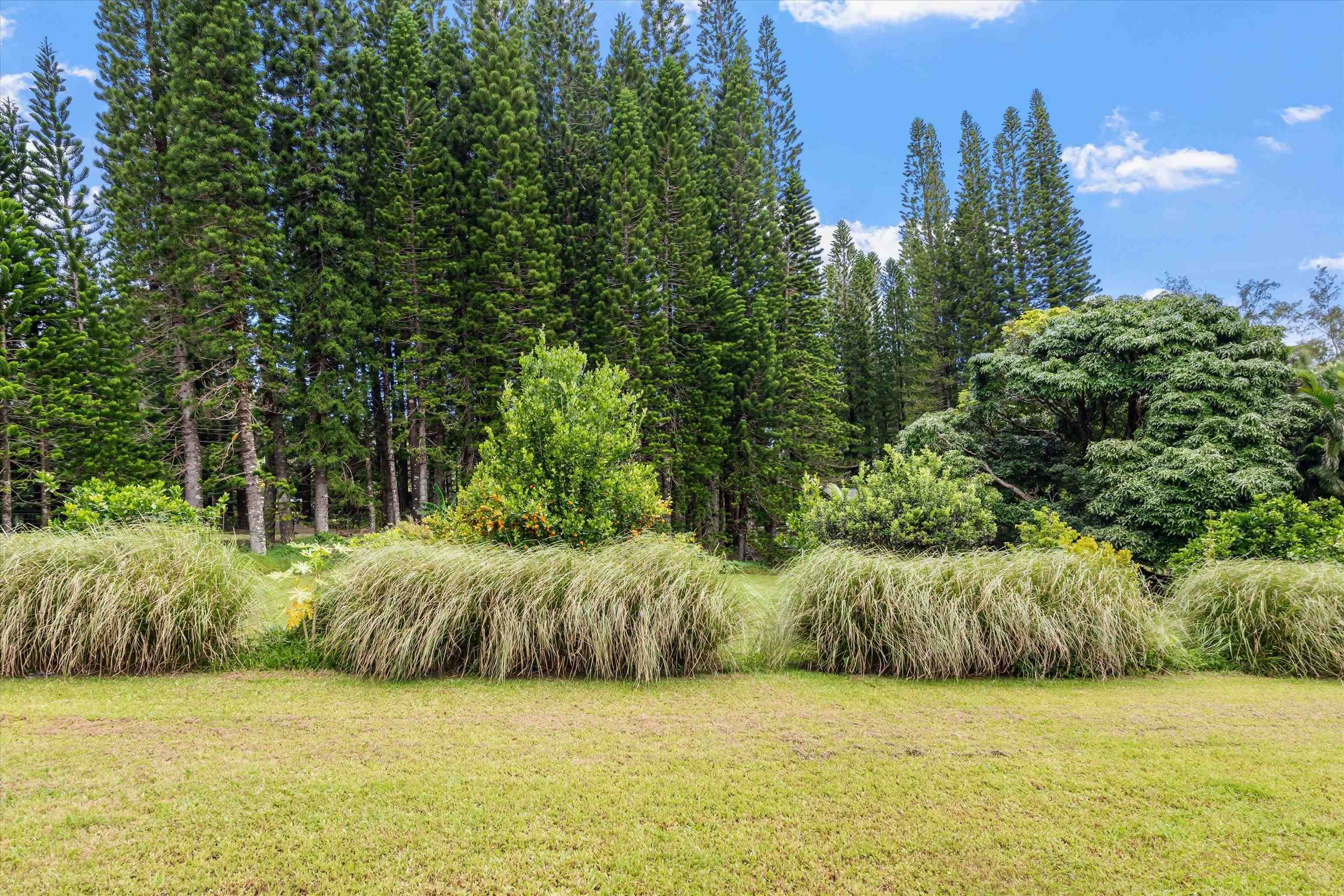 169  Waipalani Rd Maui Ranch Estates, Haiku home - photo 47 of 50