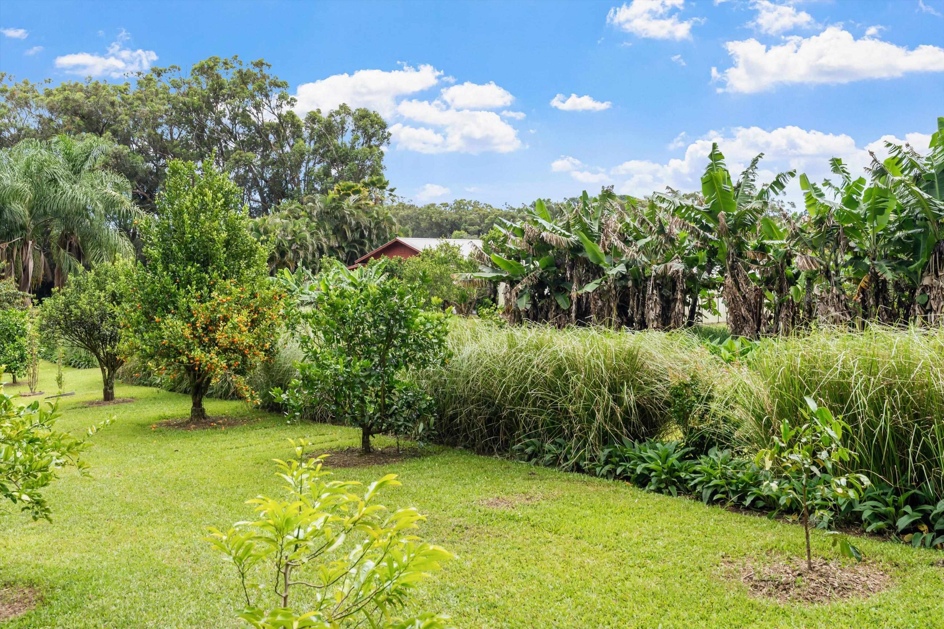169  Waipalani Rd Maui Ranch Estates, Haiku home - photo 48 of 50