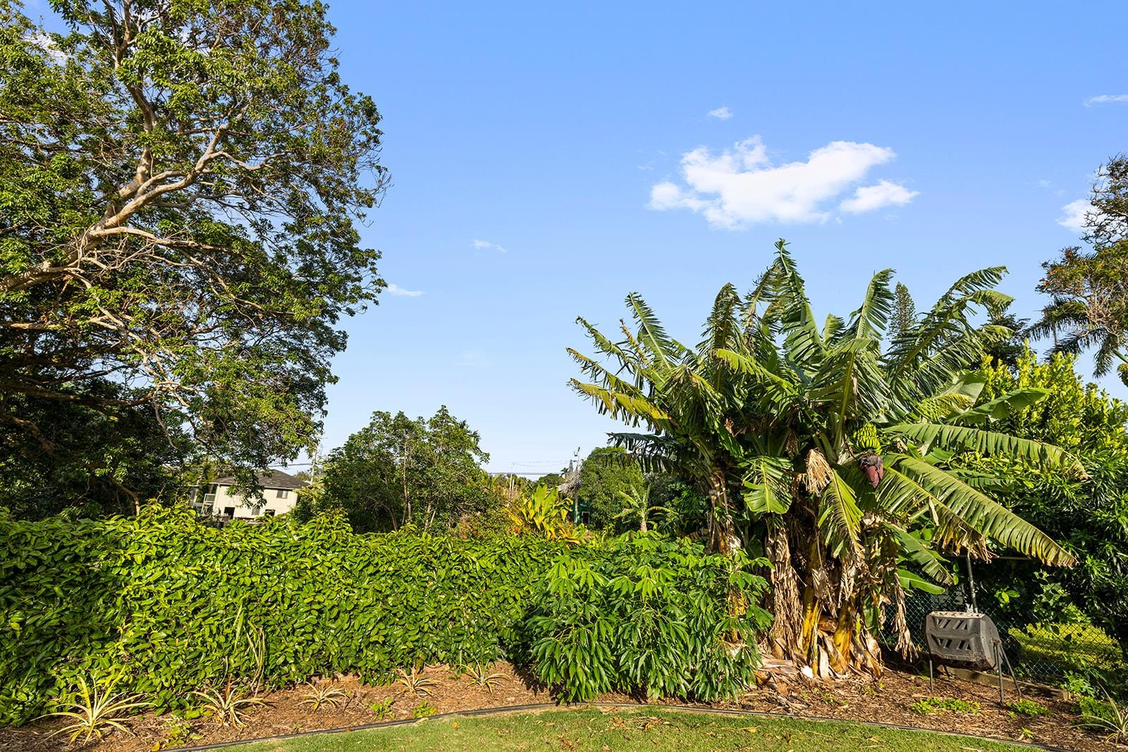 1697  Haiku Rd , Haiku home - photo 45 of 48
