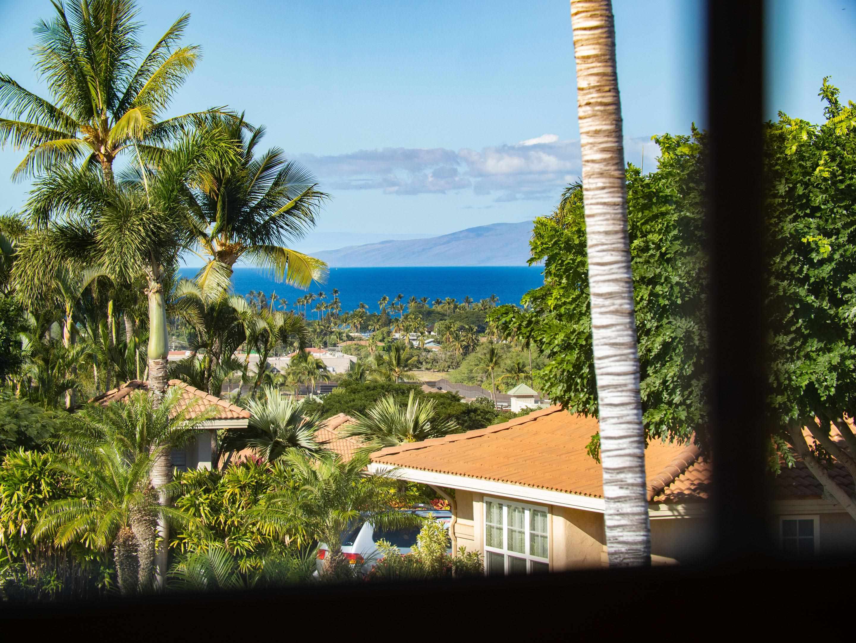 1699  Hihimanu St Maui Nui Golf Course, Kihei home - photo 20 of 35