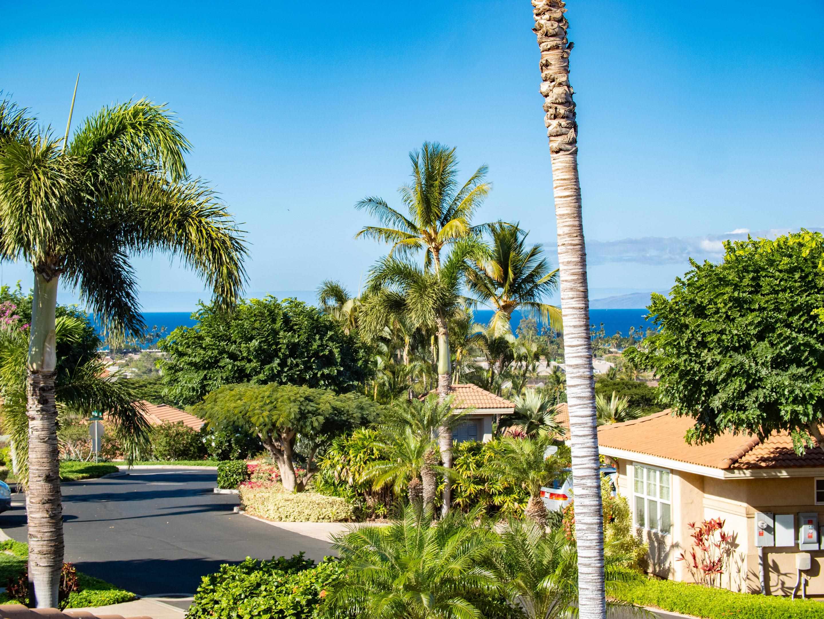 1699  Hihimanu St Maui Nui Golf Course, Kihei home - photo 22 of 35