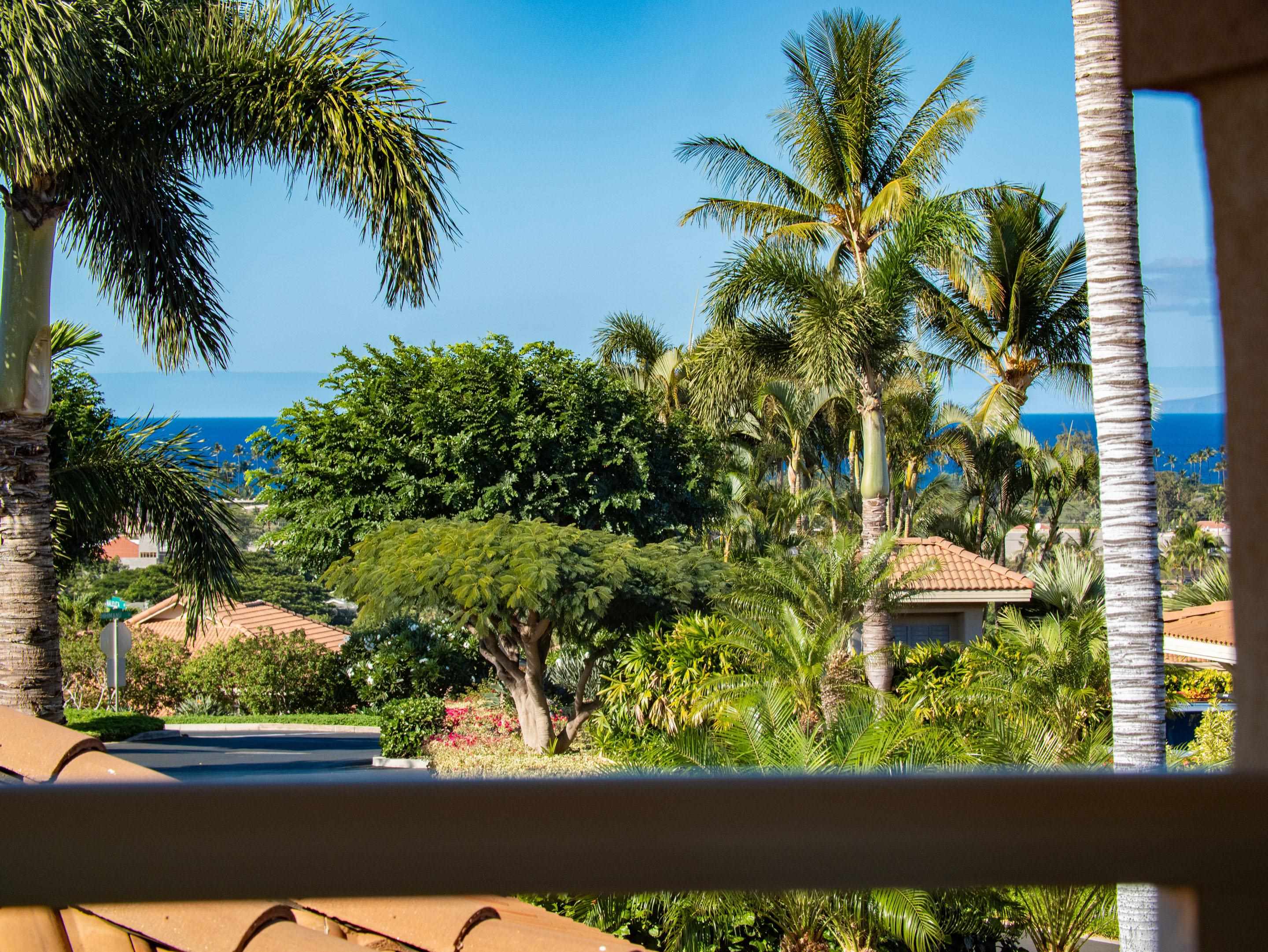 1699  Hihimanu St Maui Nui Golf Course, Kihei home - photo 23 of 35