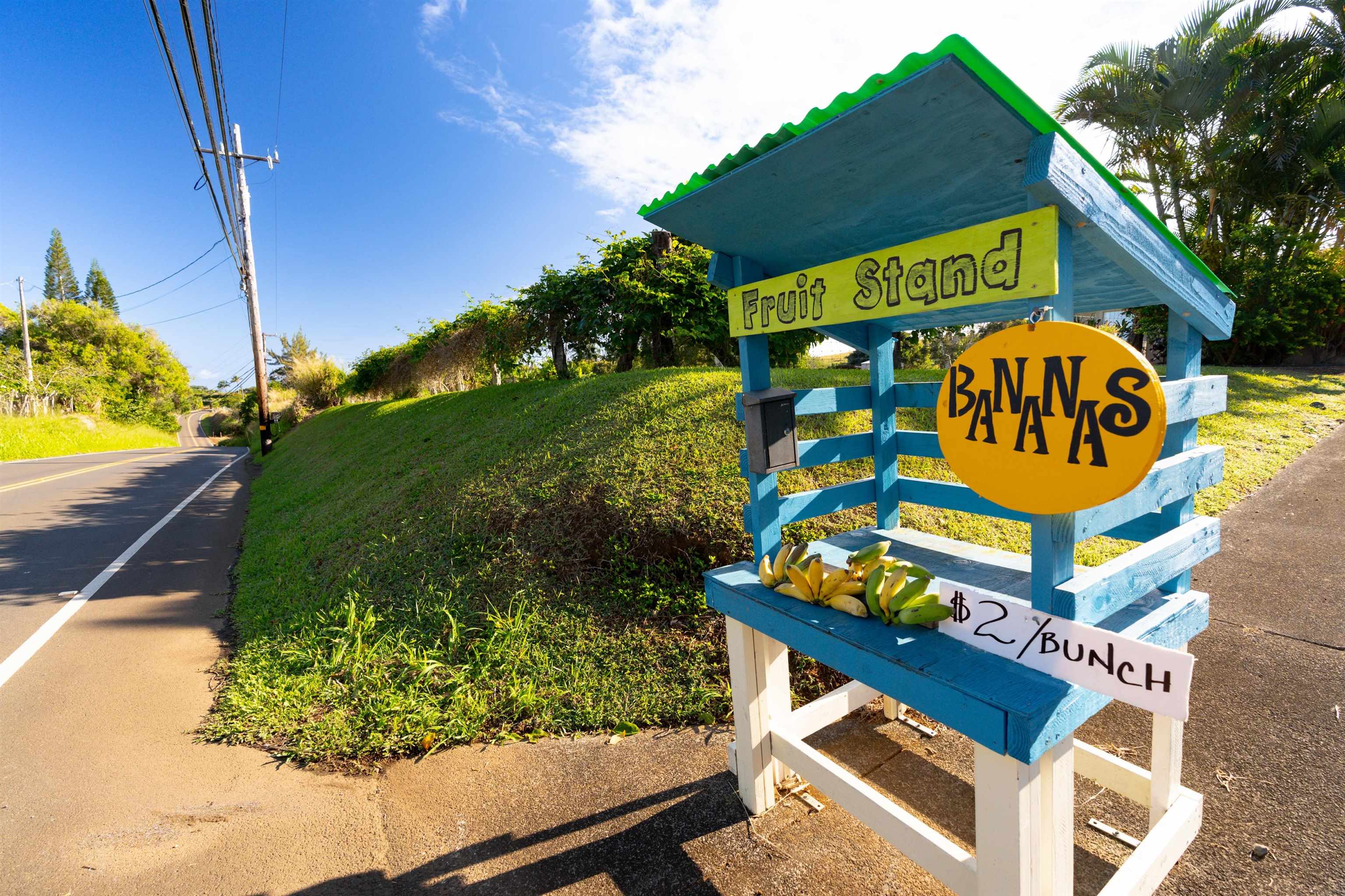 1699  Kaupakalua Rd , Haiku home - photo 35 of 41