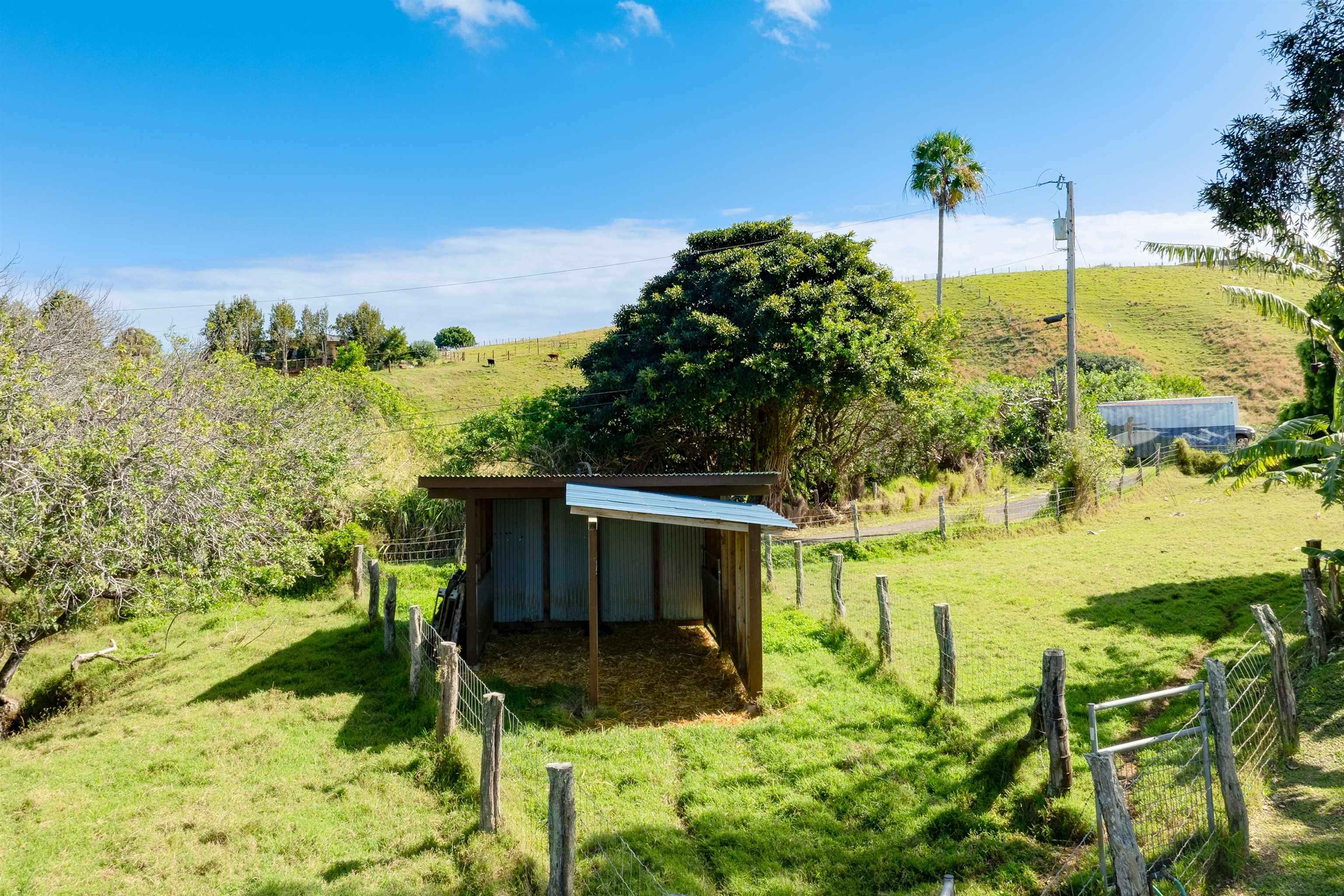 1699  Kaupakalua Rd , Haiku home - photo 38 of 41