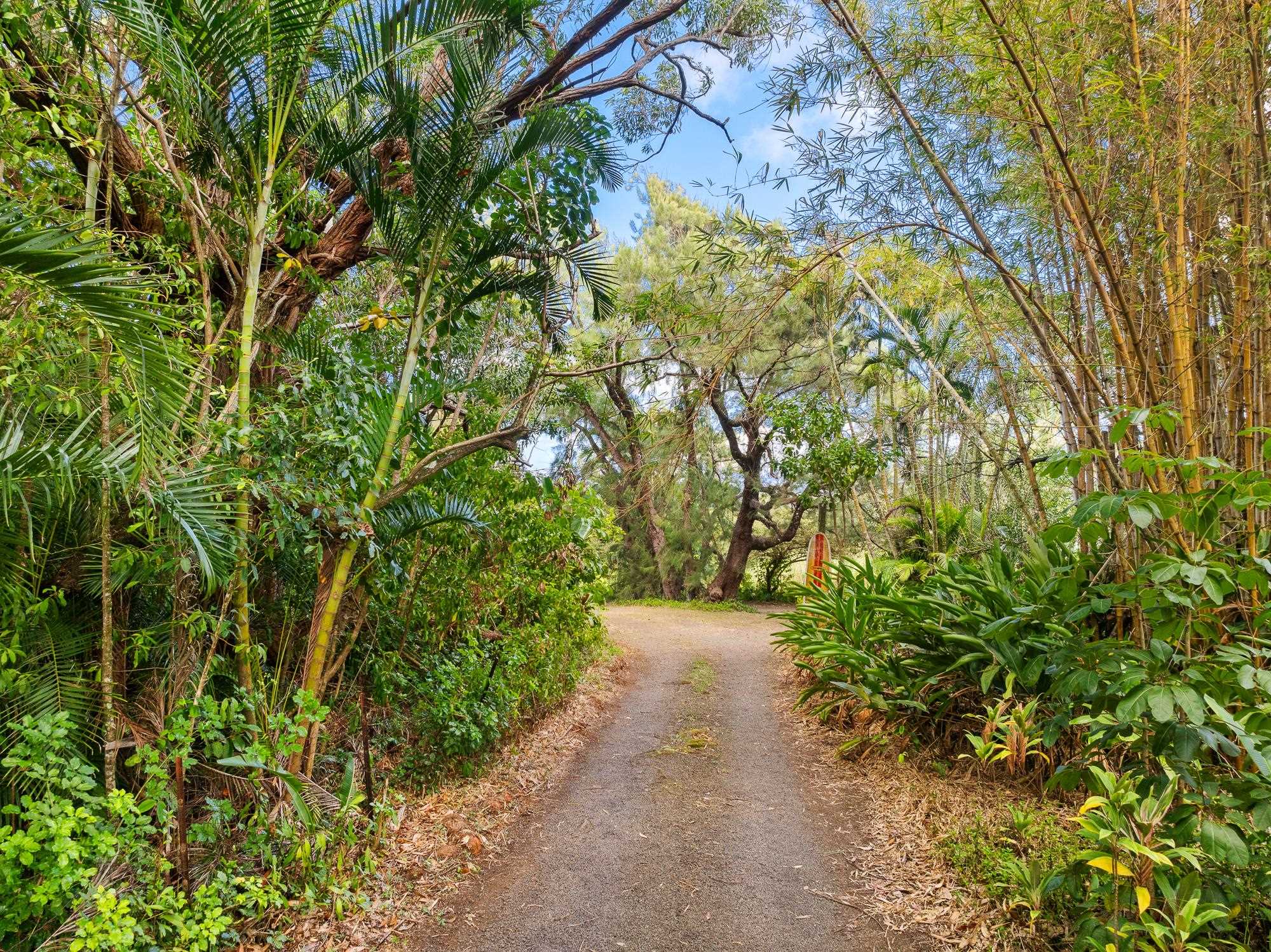 17  Door Of Faith Rd Huelo, Haiku home - photo 20 of 50