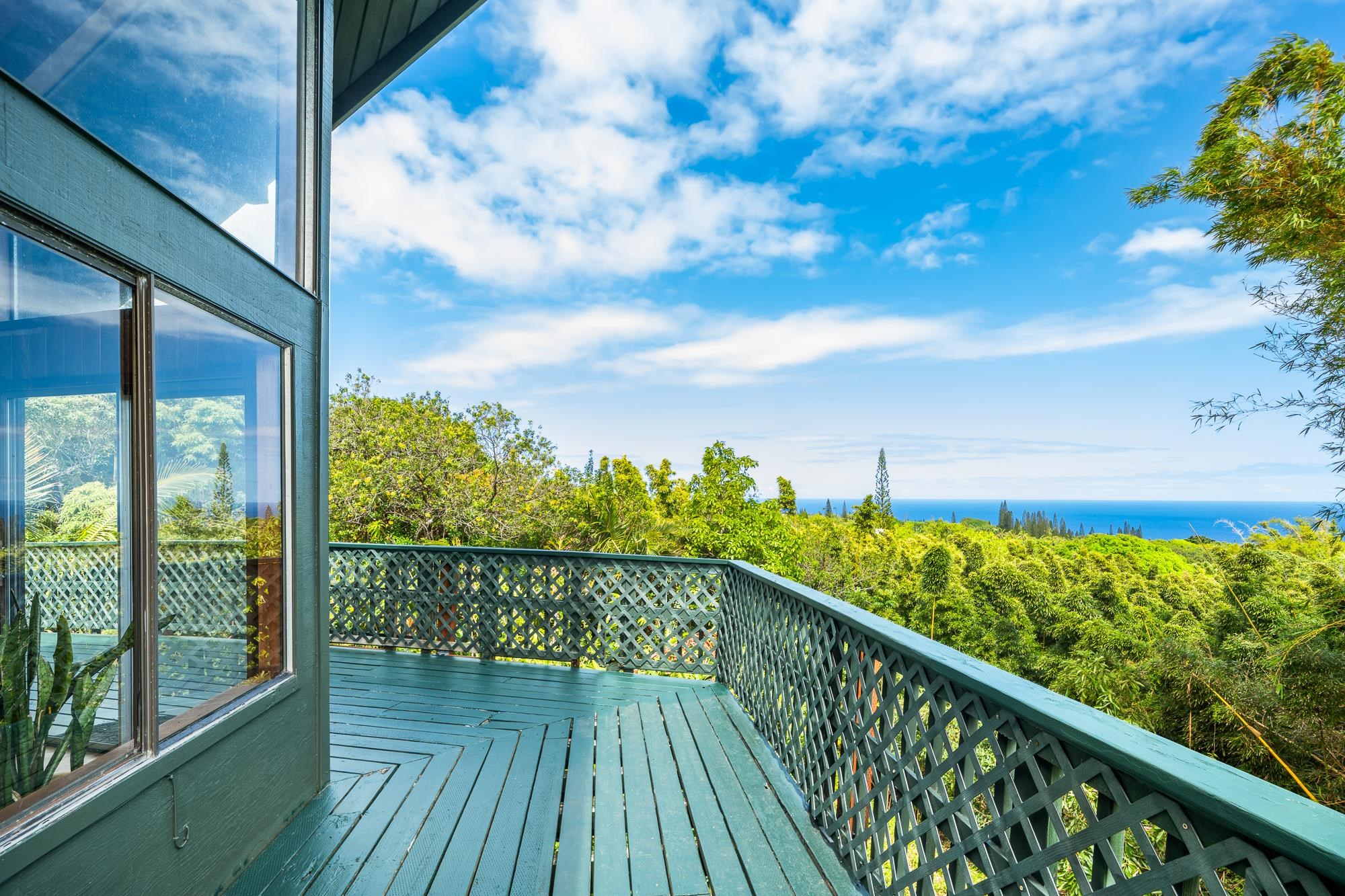 17  Door Of Faith Rd Huelo, Haiku home - photo 21 of 50