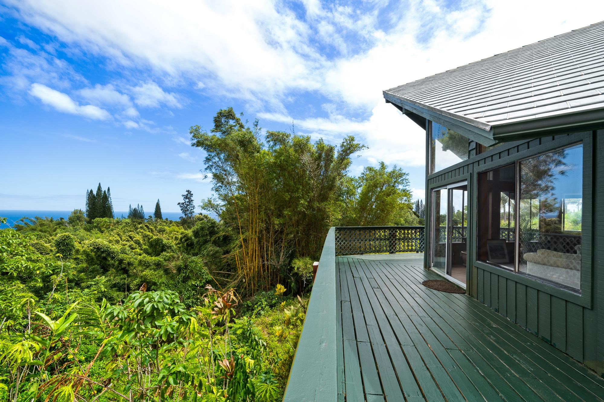 17  Door Of Faith Rd Huelo, Haiku home - photo 23 of 50