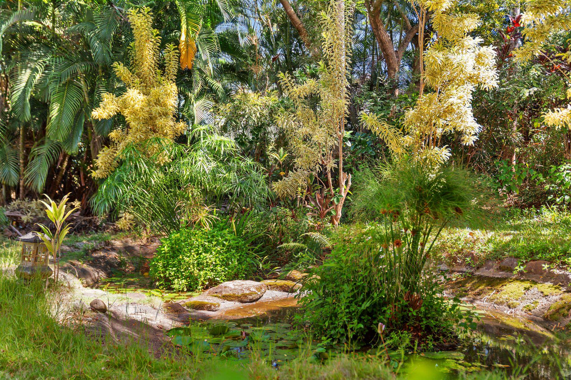 17  Door Of Faith Rd Huelo, Haiku home - photo 30 of 50