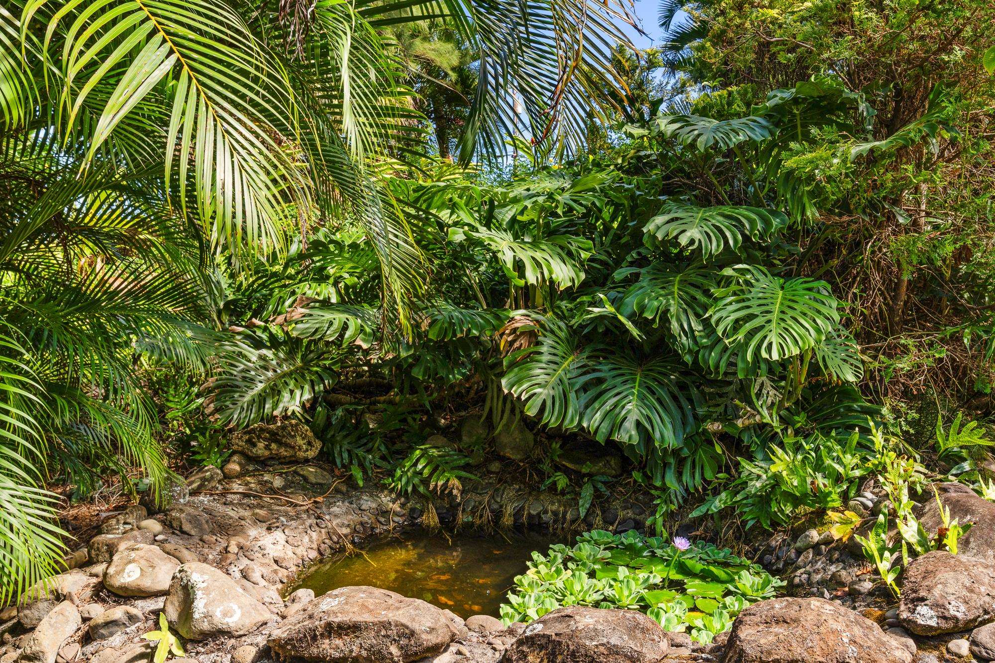 17  Door Of Faith Rd Huelo, Haiku home - photo 31 of 50