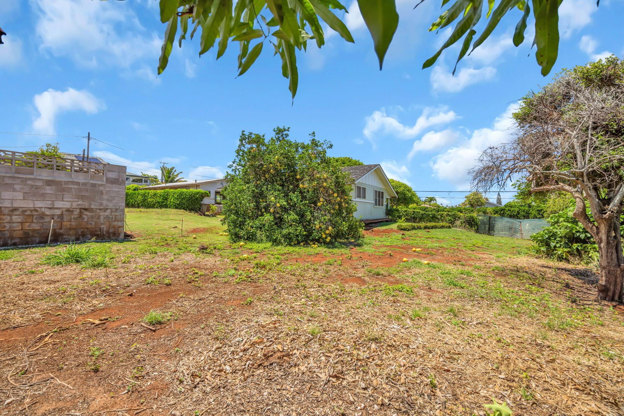 17  Hui F Rd Napili, Napili/Kahana/Honokowai home - photo 43 of 45