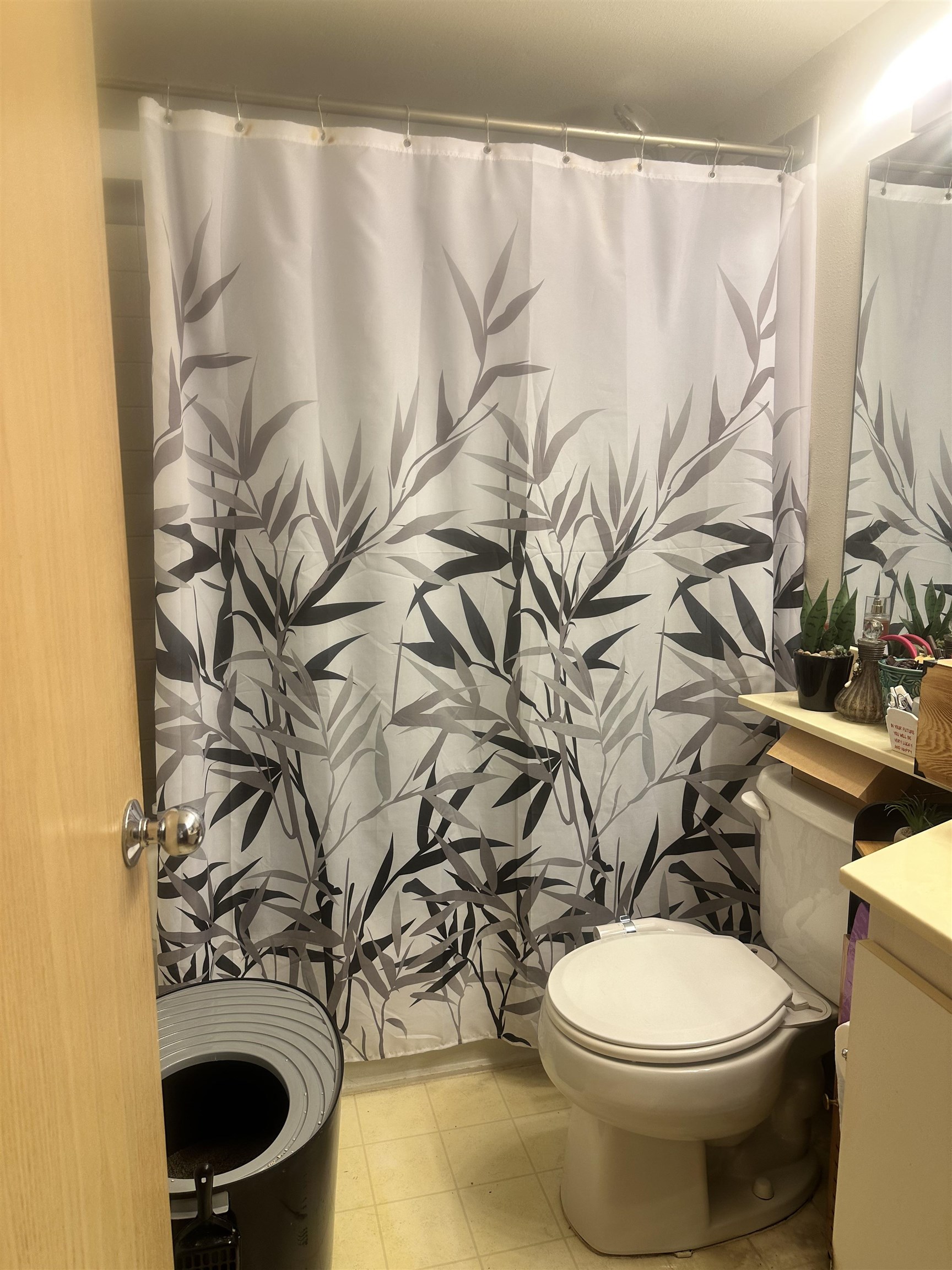 Iao Parkside I condo # 6-102, Wailuku, Hawaii - photo 10 of 14