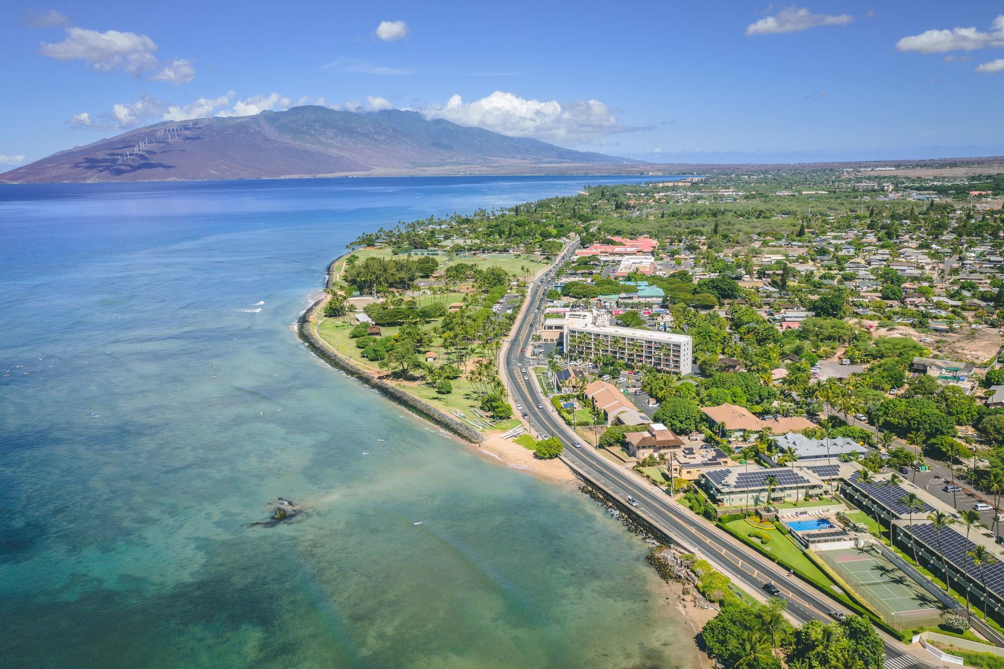 170  Mehani Cir Kalama View, Kihei home - photo 46 of 46