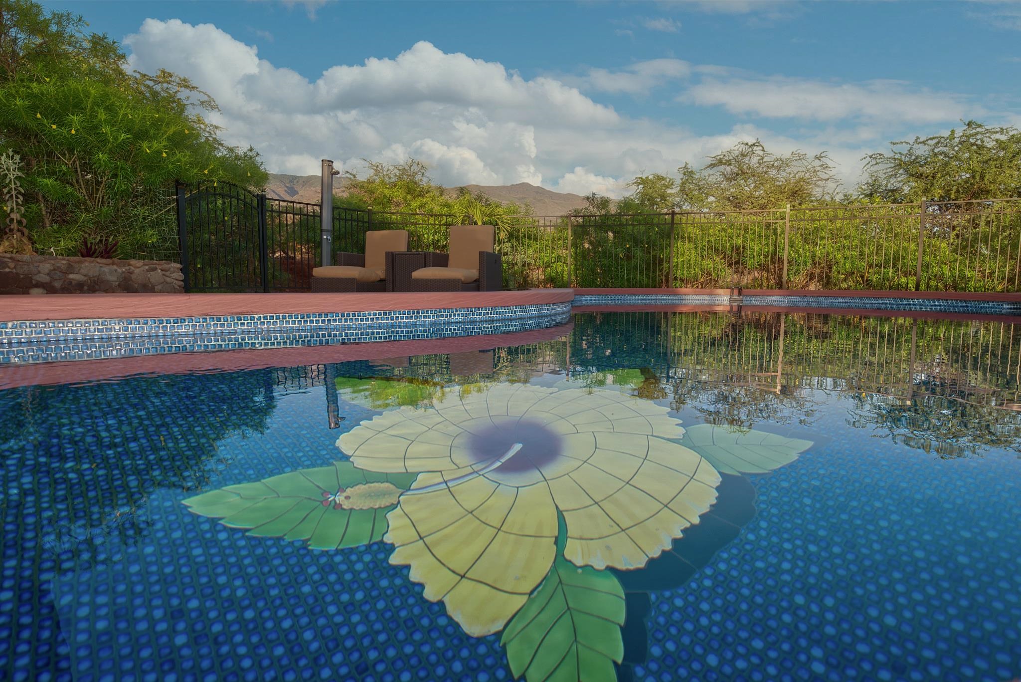 170  Ulua Rd Kawela, Molokai home - photo 39 of 50