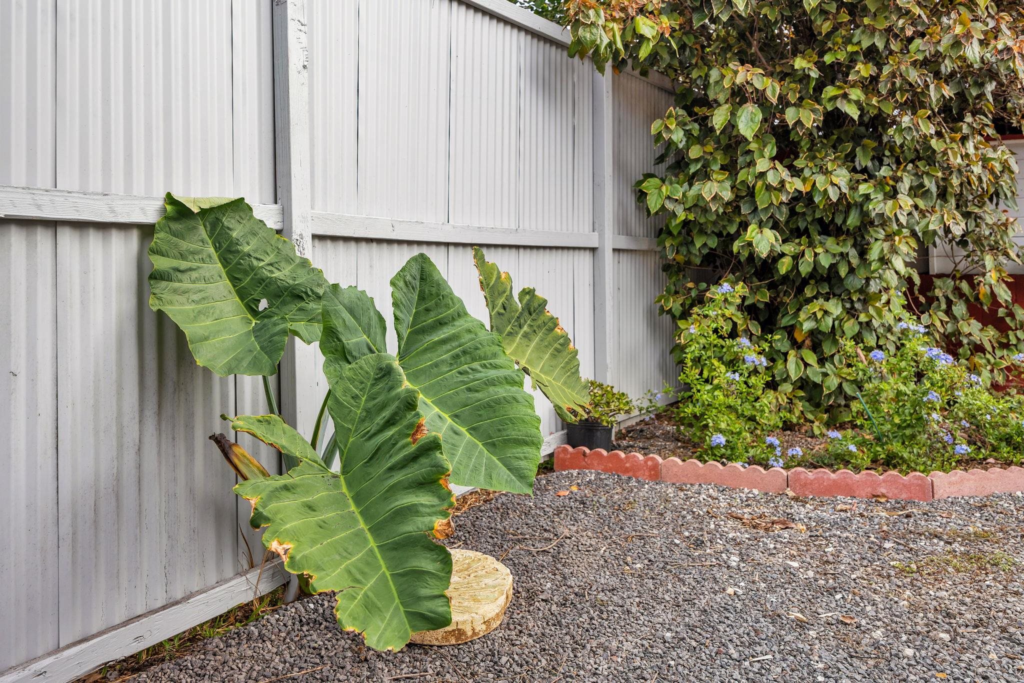 1702  Haiku Rd Haiku, Haiku home - photo 37 of 43