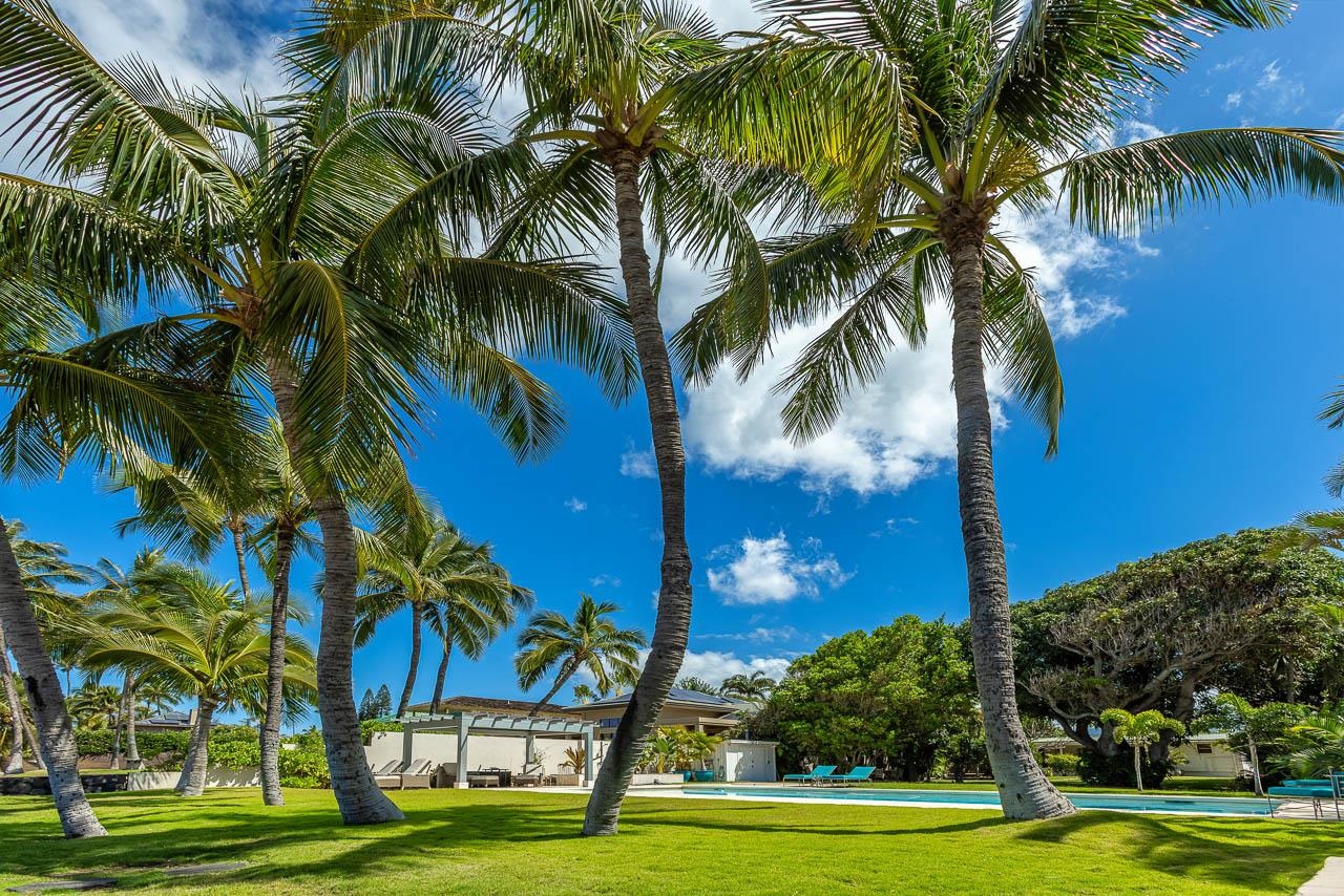1702  Halama St Halama Street, Kihei home - photo 2 of 50